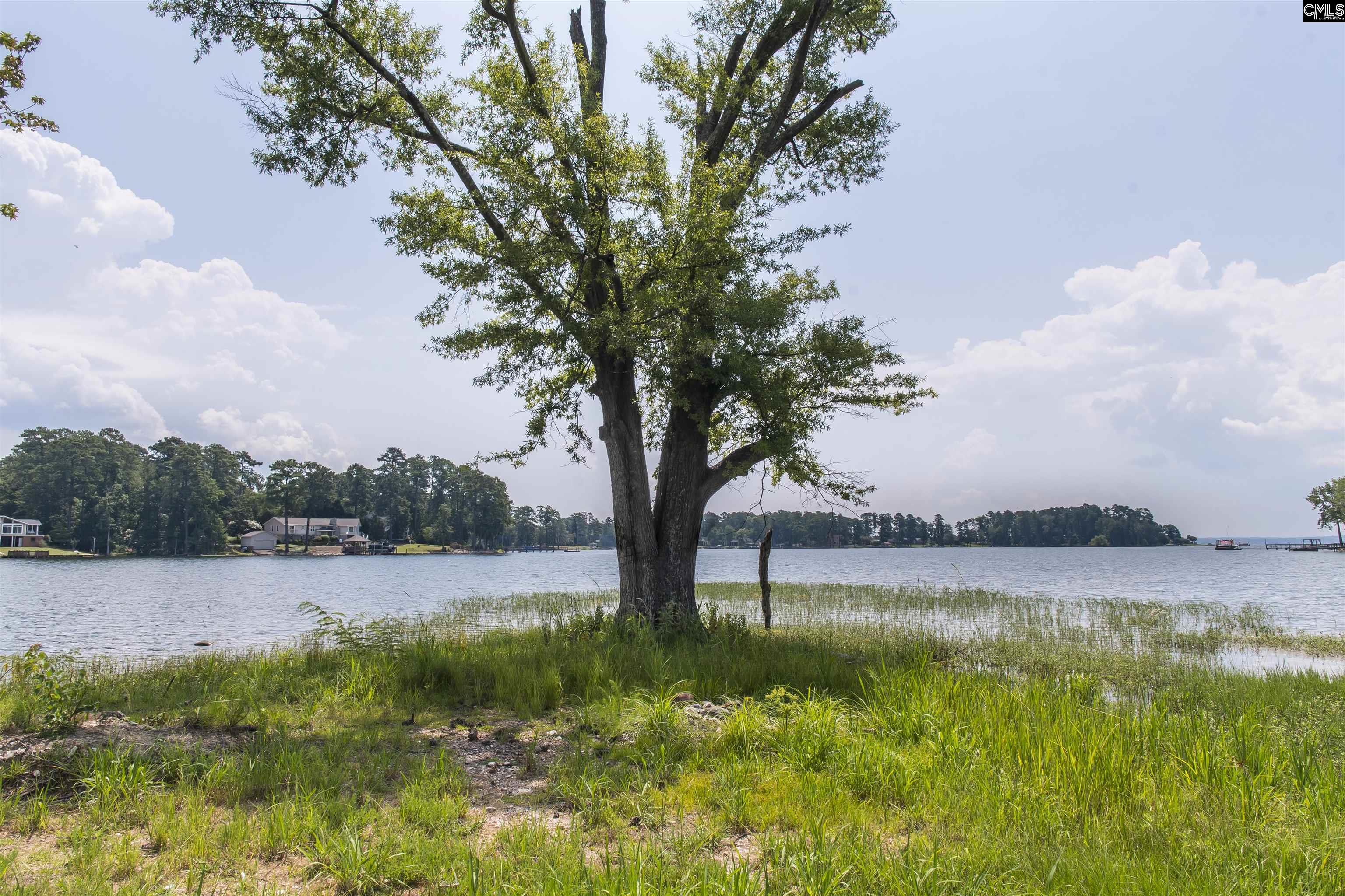 124 Bri Lor Court, Chapin, South Carolina image 49