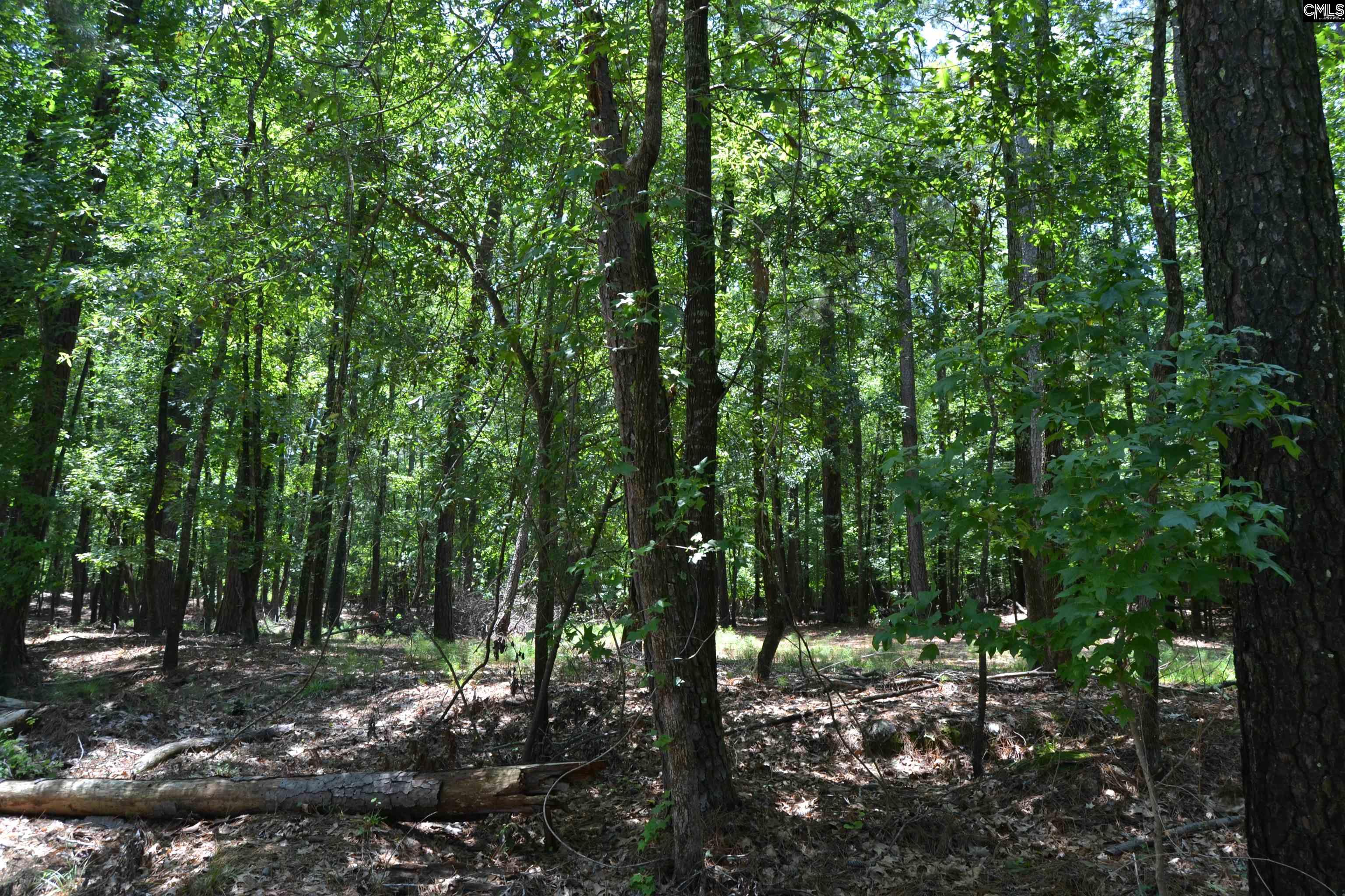 124 Bri Lor Court, Chapin, South Carolina image 2
