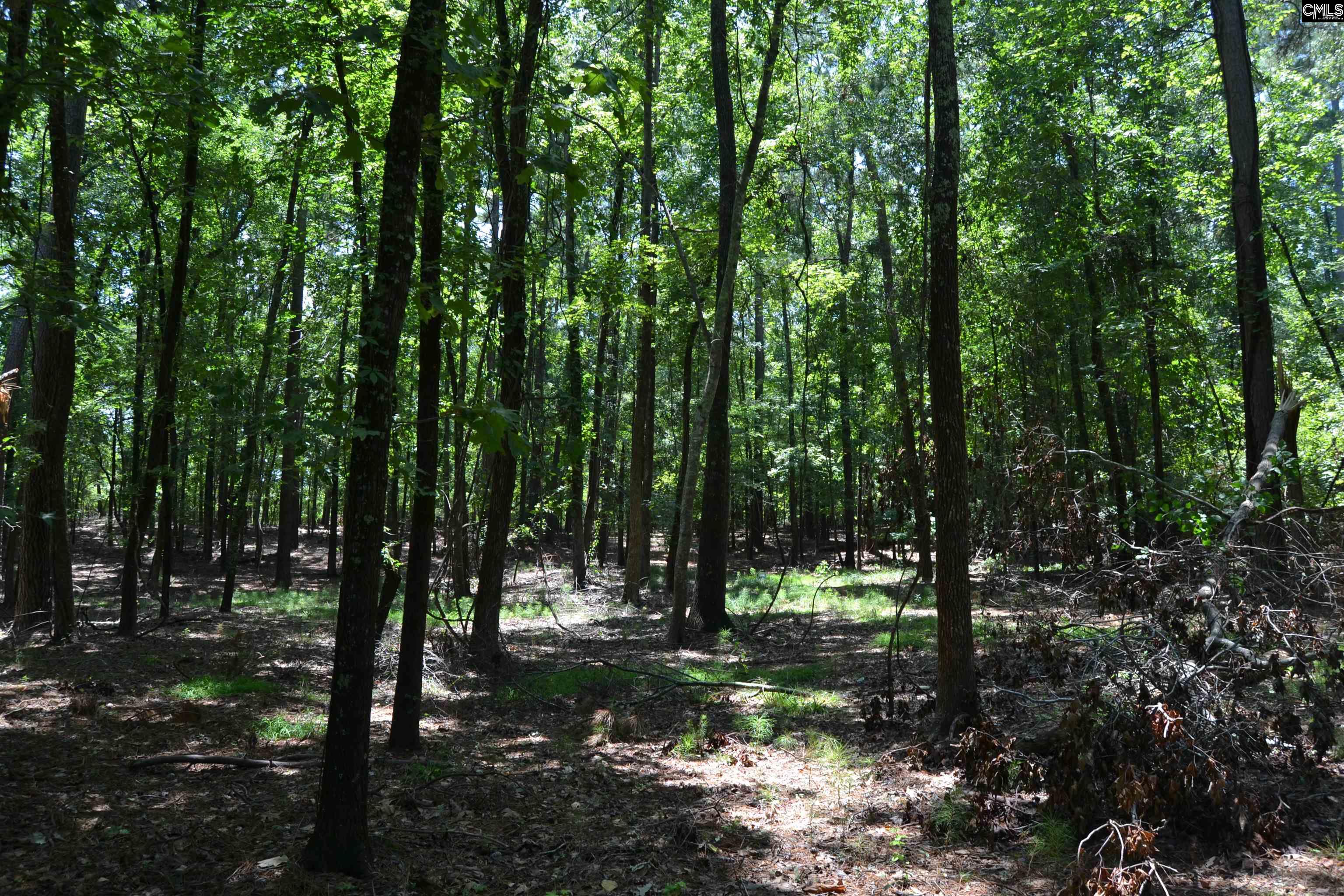 124 Bri Lor Court, Chapin, South Carolina image 3