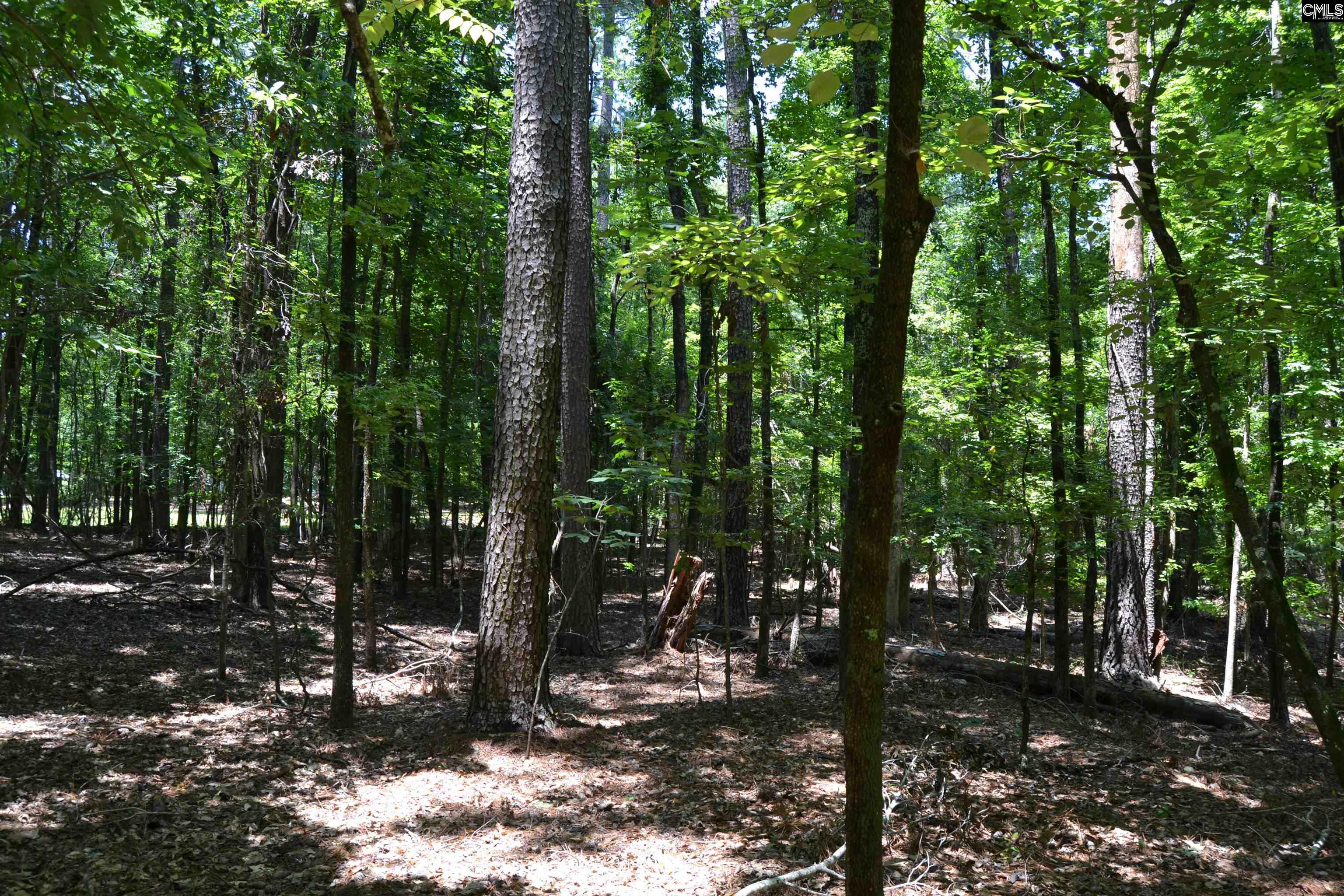 124 Bri Lor Court, Chapin, South Carolina image 5