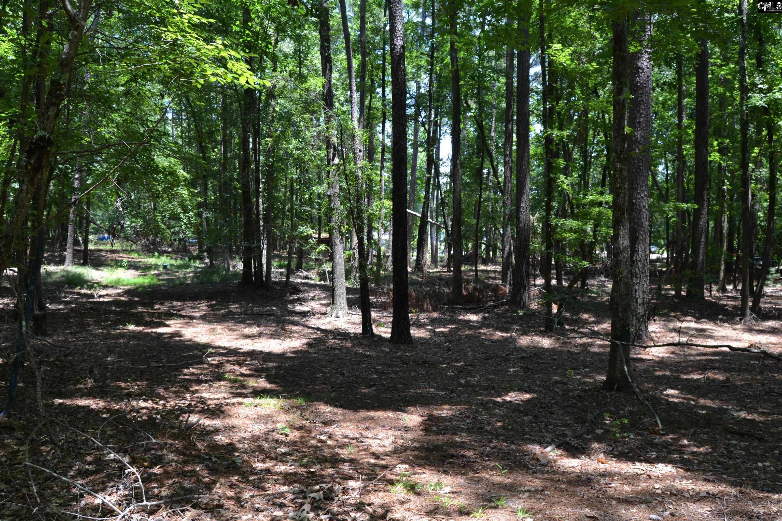 124 Bri Lor Court, Chapin, South Carolina image 6
