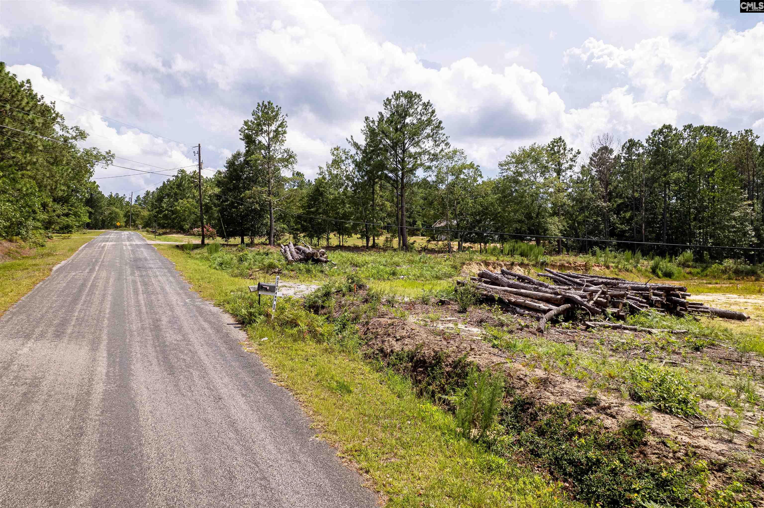 204 Doe Drive Hopkins, SC 29061