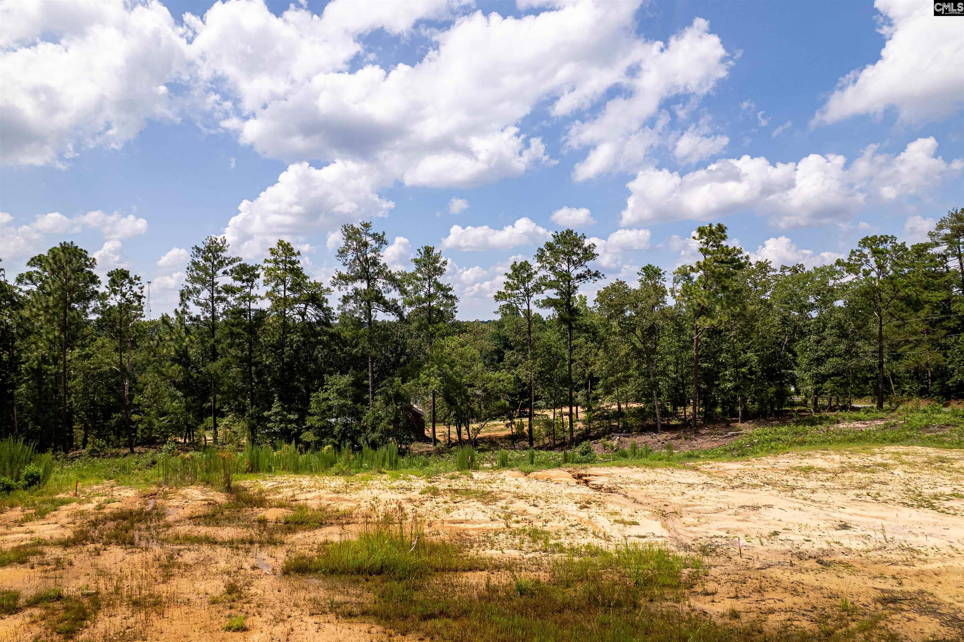 204 Doe Drive, Hopkins, South Carolina image 3