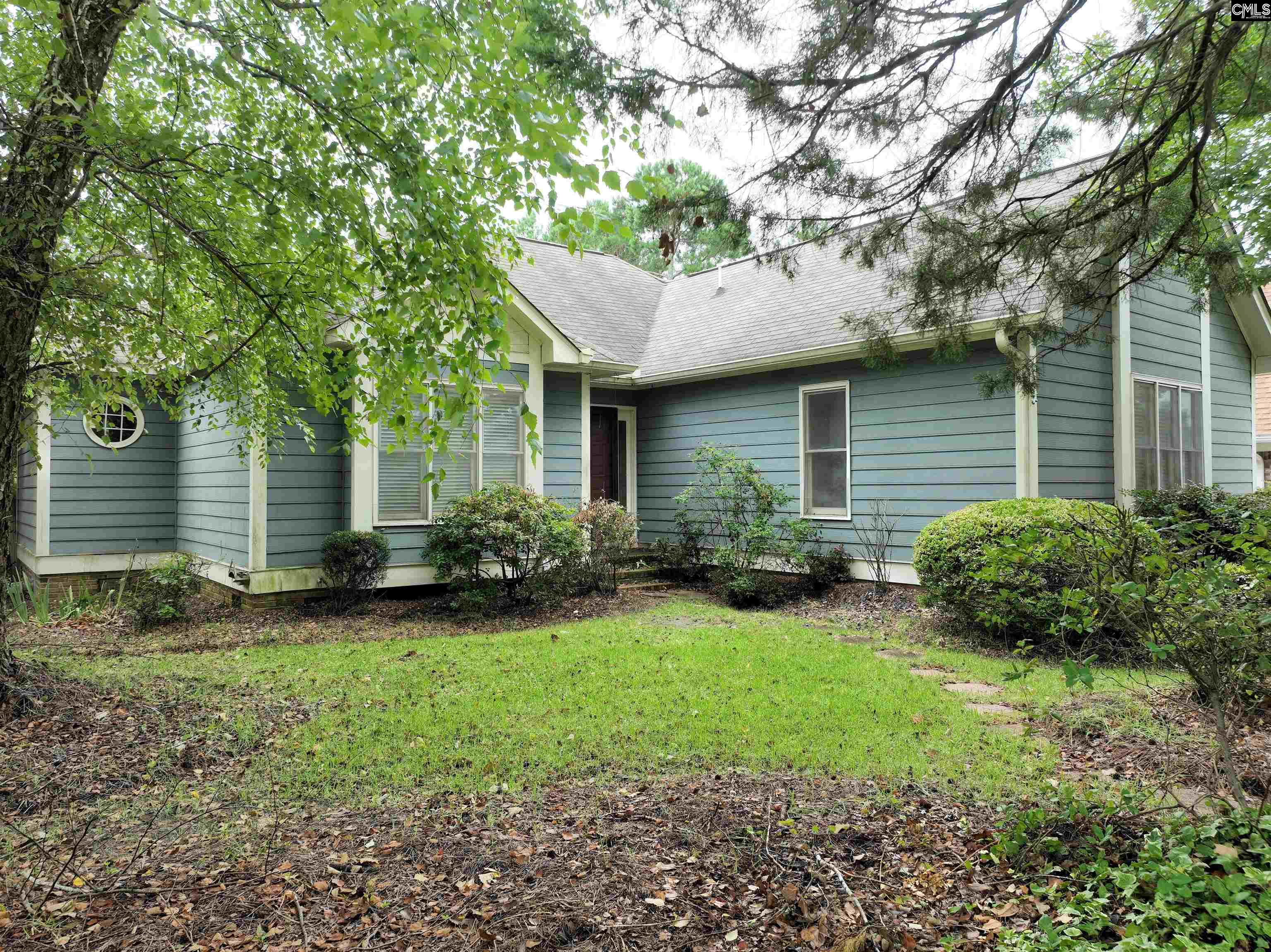 201 Willowood Parkway, Chapin, South Carolina image 1