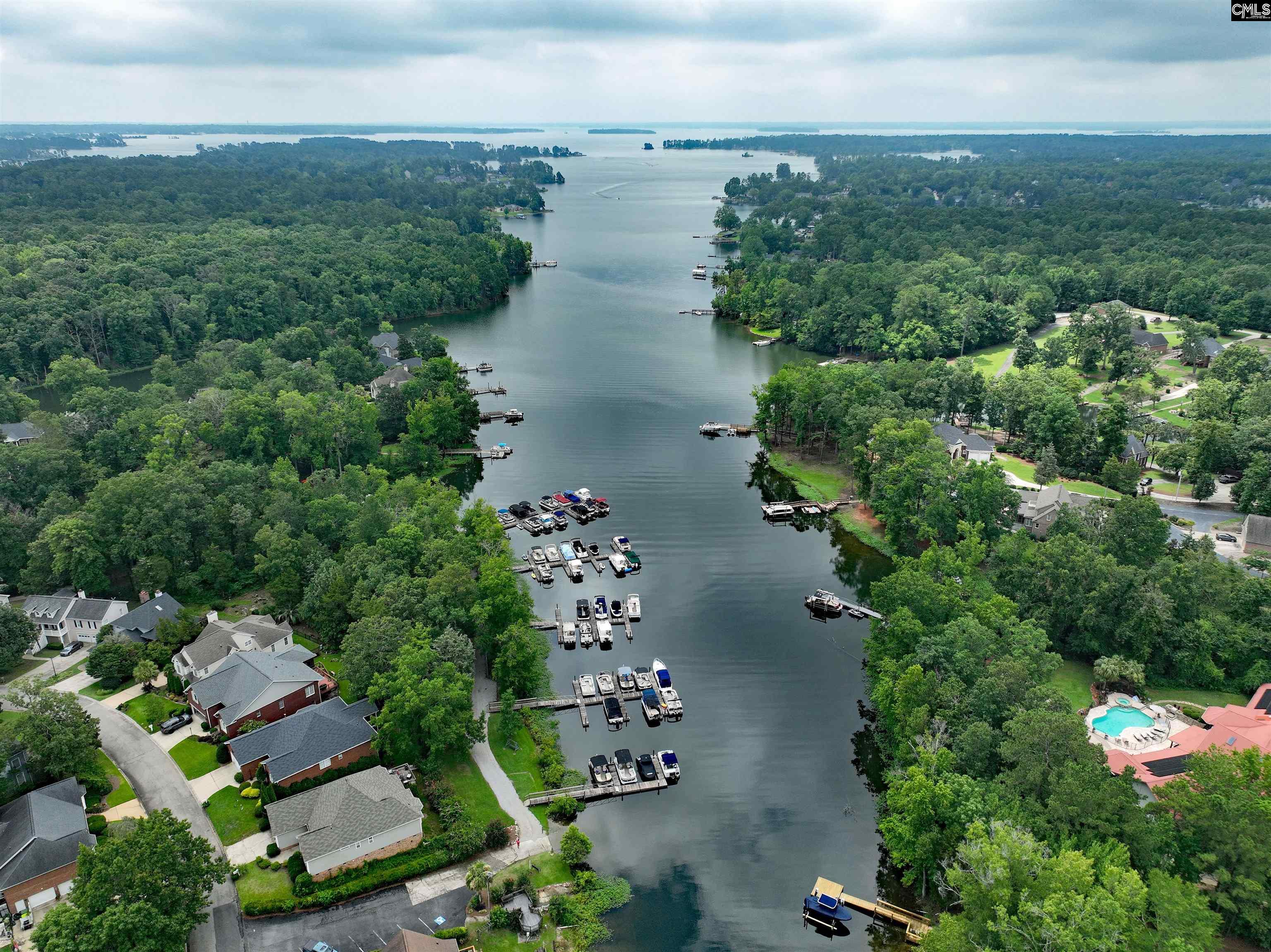 201 Willowood Parkway, Chapin, South Carolina image 2