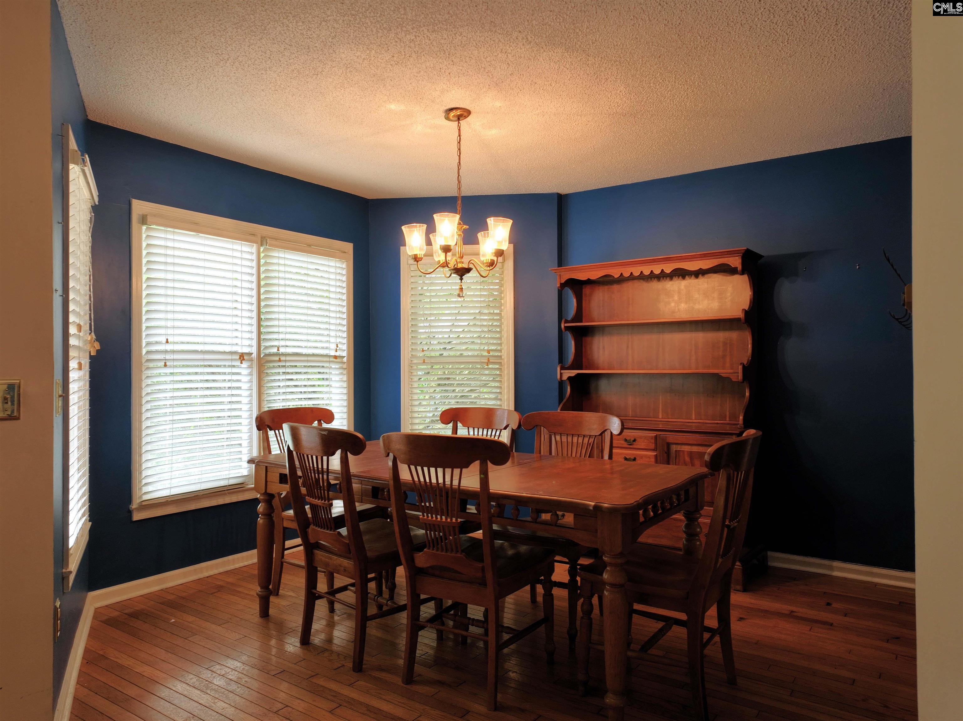 201 Willowood Parkway, Chapin, South Carolina image 13