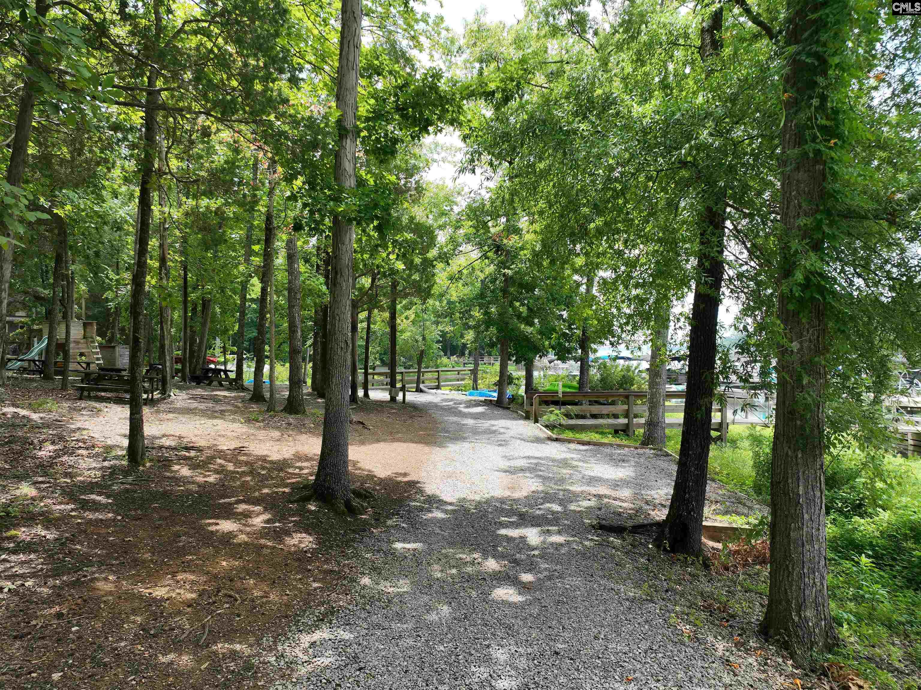 201 Willowood Parkway, Chapin, South Carolina image 5