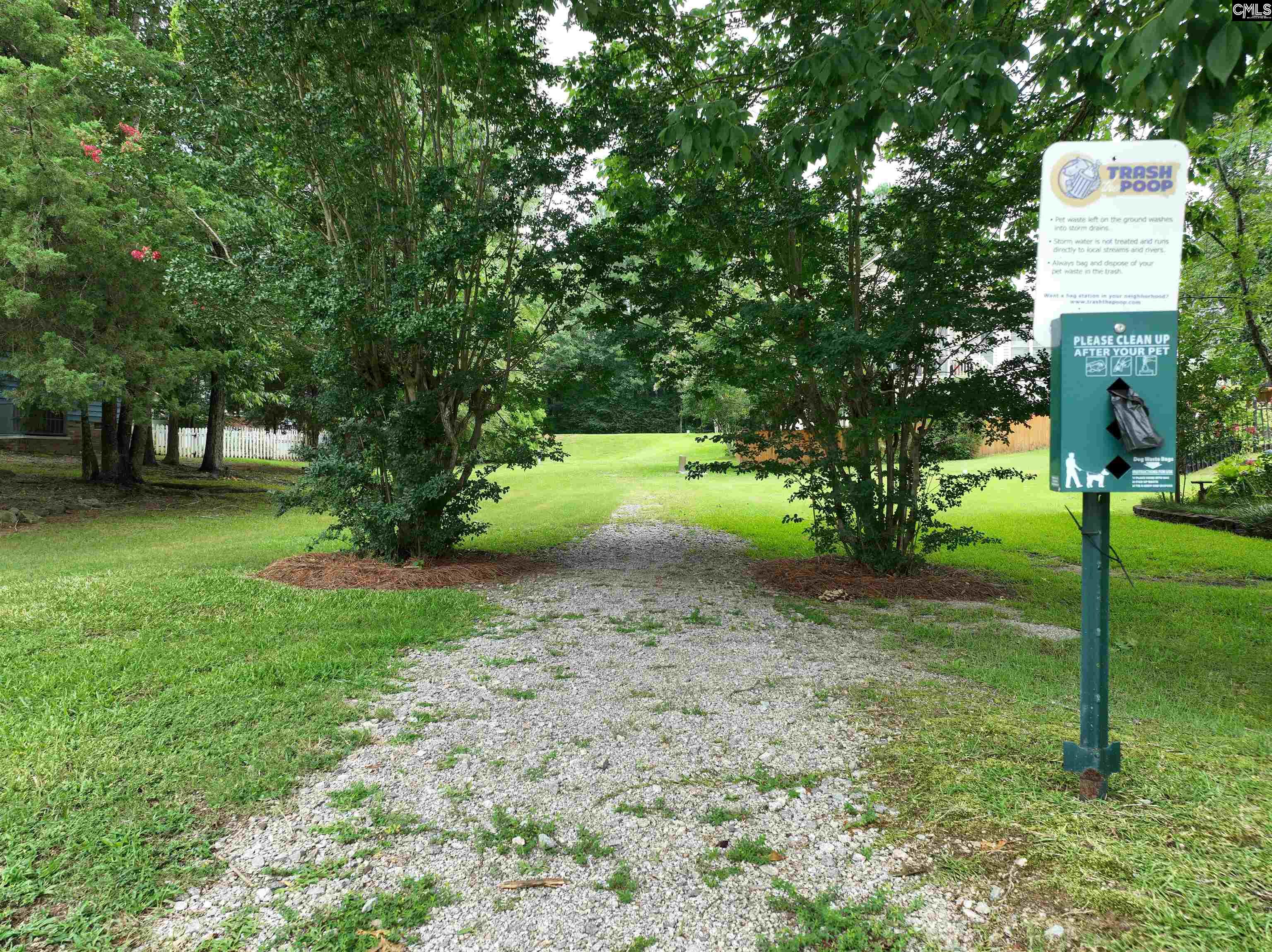 201 Willowood Parkway, Chapin, South Carolina image 41