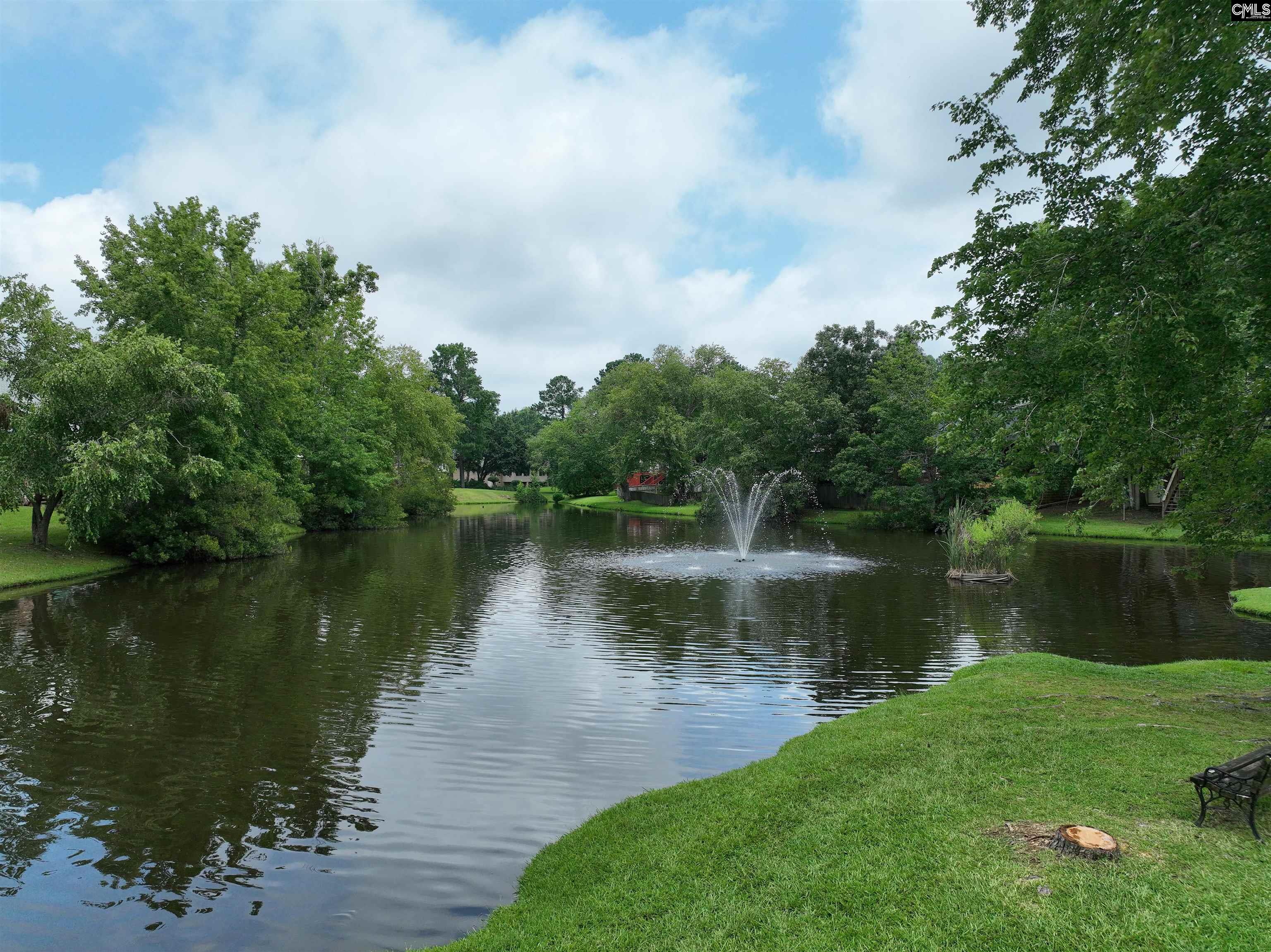 201 Willowood Parkway, Chapin, South Carolina image 42