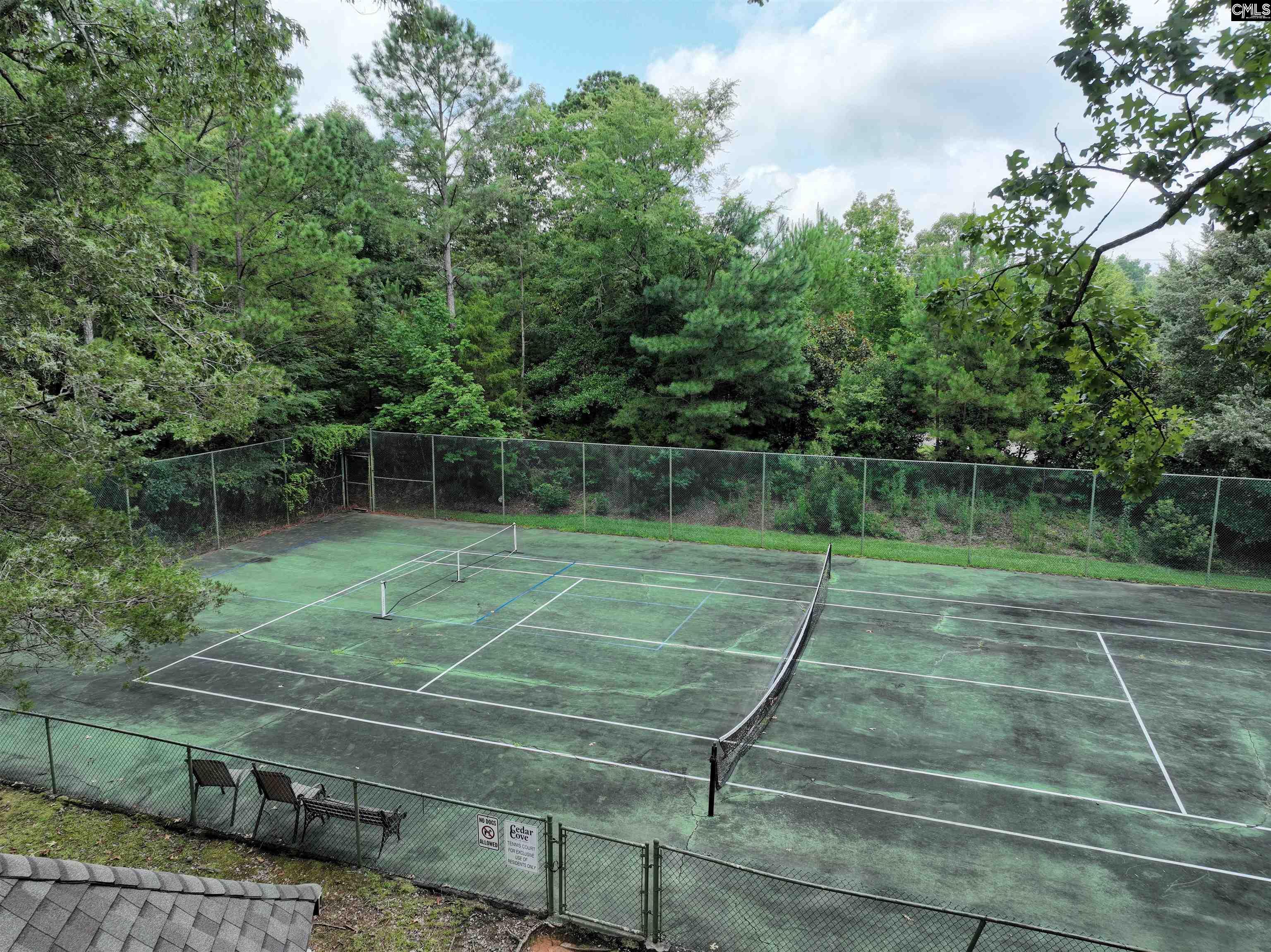 201 Willowood Parkway, Chapin, South Carolina image 45
