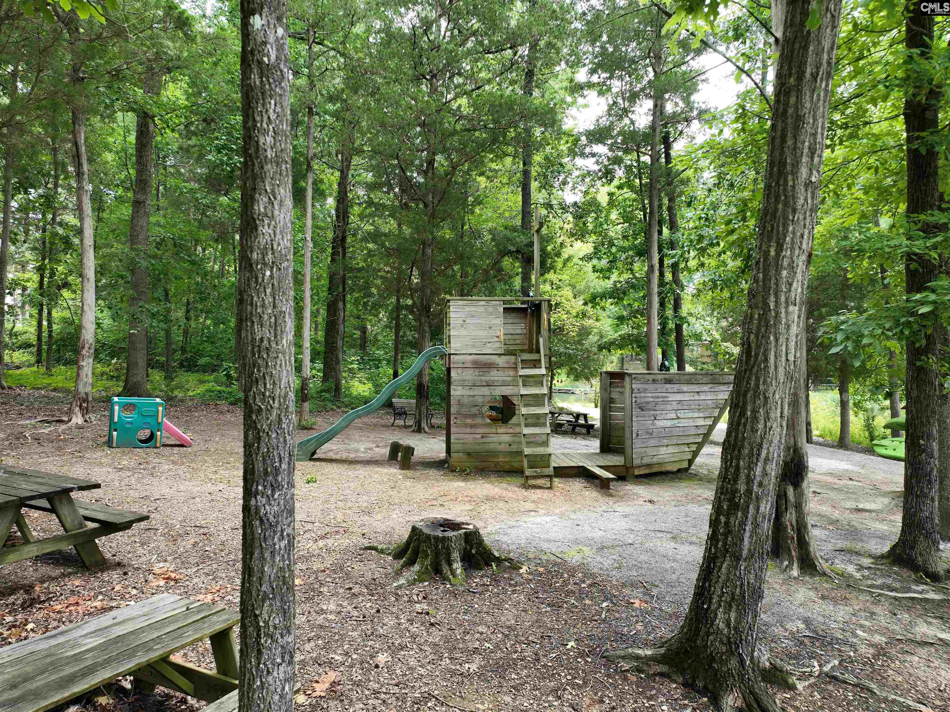 201 Willowood Parkway, Chapin, South Carolina image 7