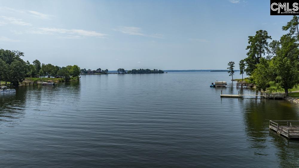 1081 Point View Rd., Chapin, South Carolina image 21