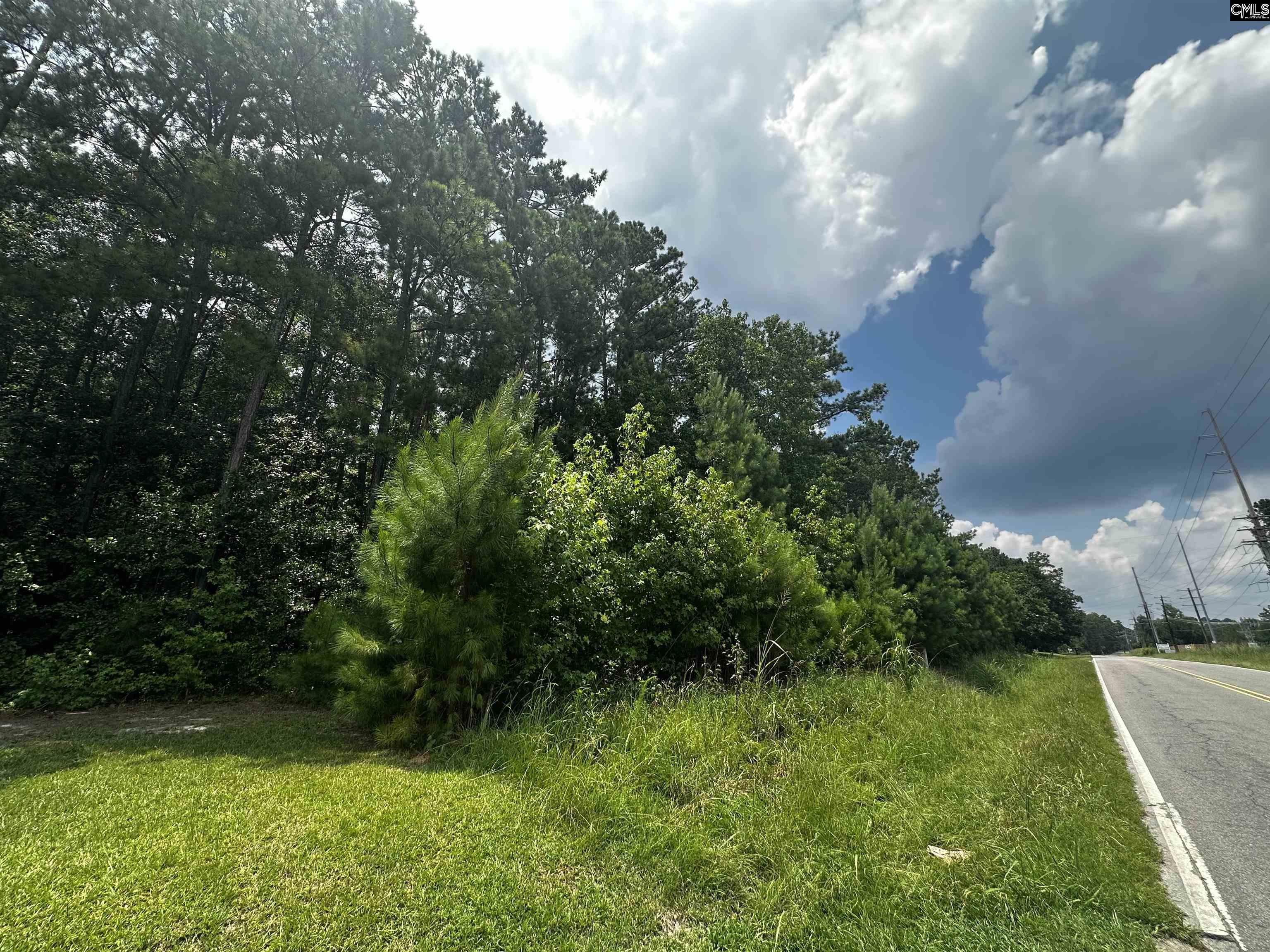 Methodist Park Road West Columbia, SC 29170