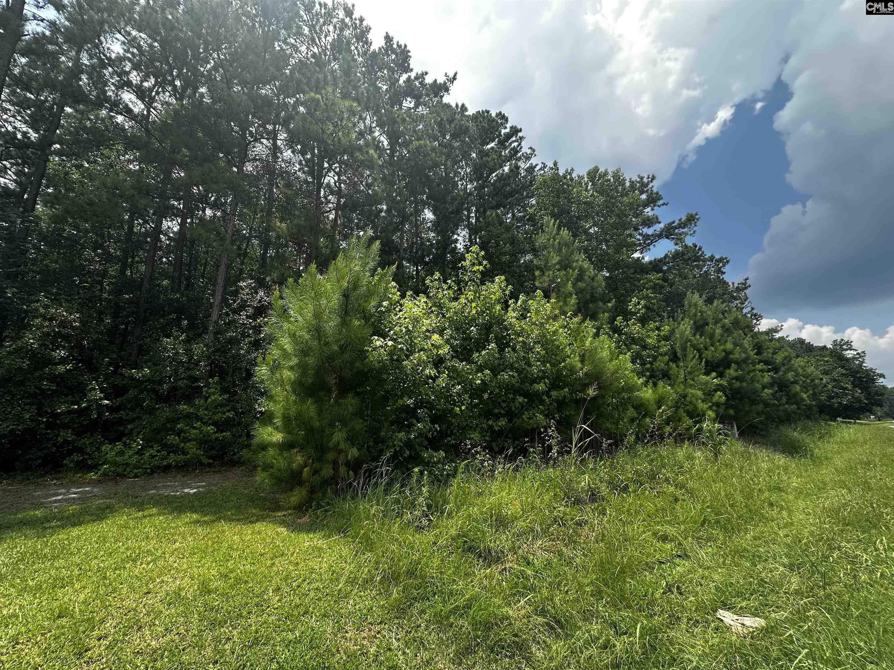 Methodist Park Road West Columbia, SC 29170
