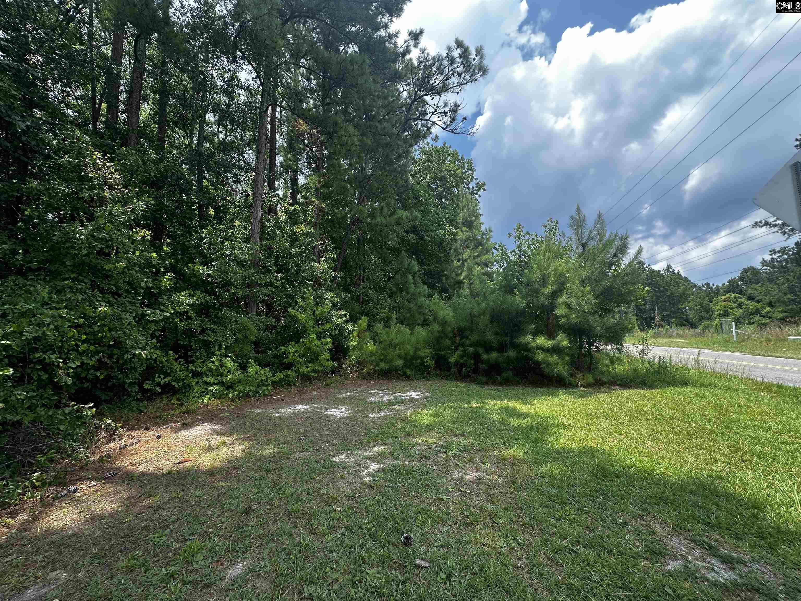 Methodist Park Road West Columbia, SC 29170