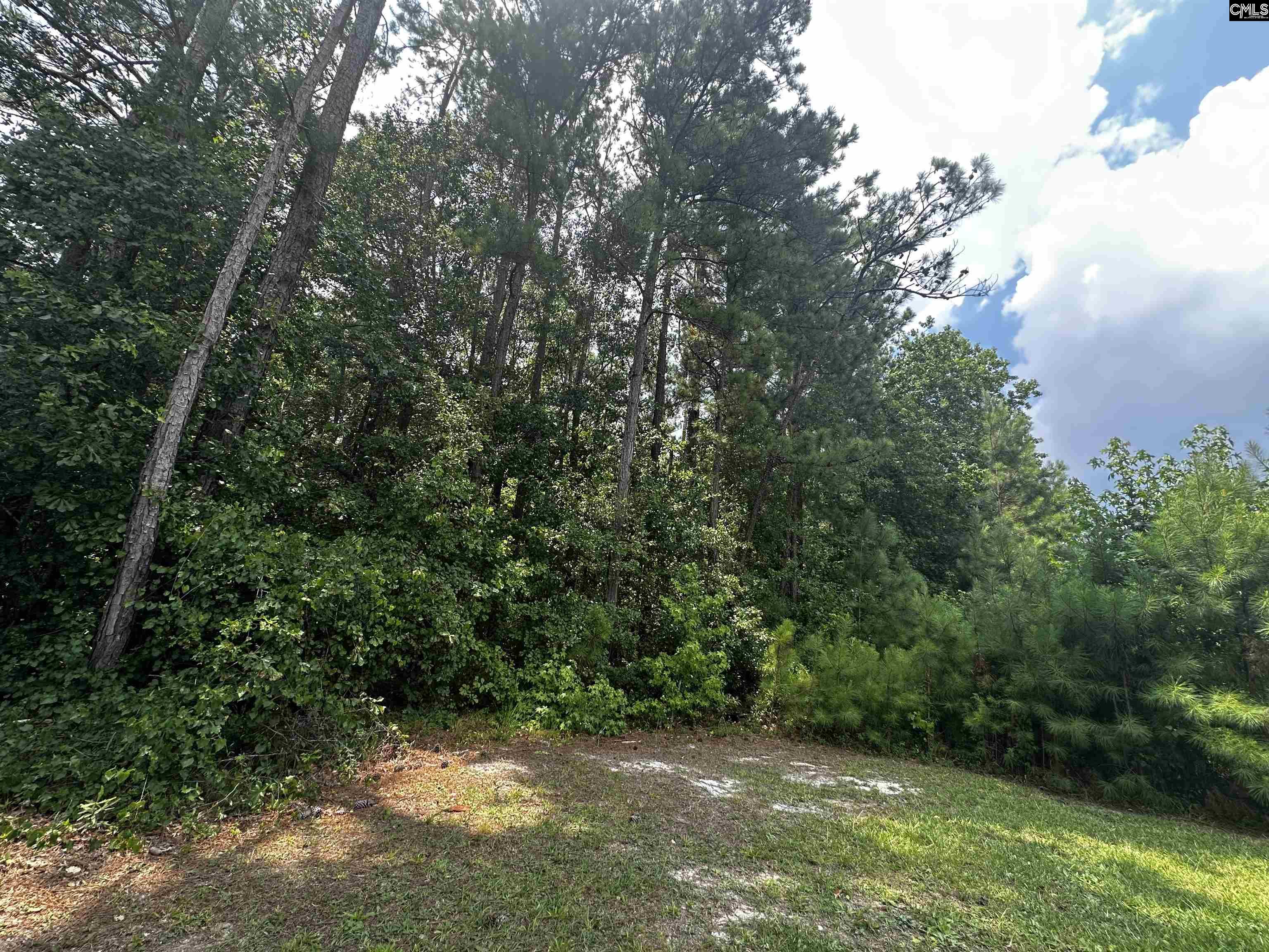 Methodist Park Road West Columbia, SC 29170