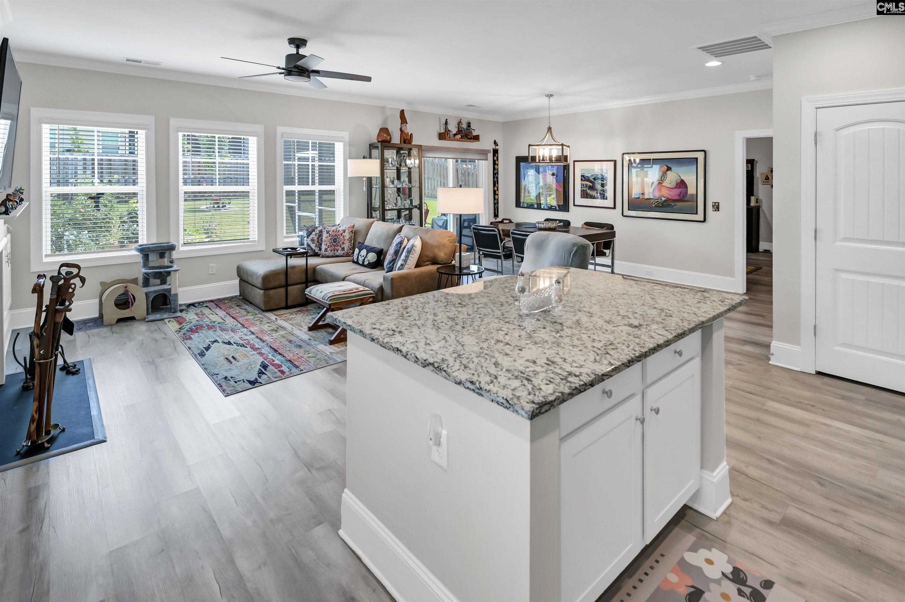 521 Mitscher Way, Chapin, South Carolina image 14