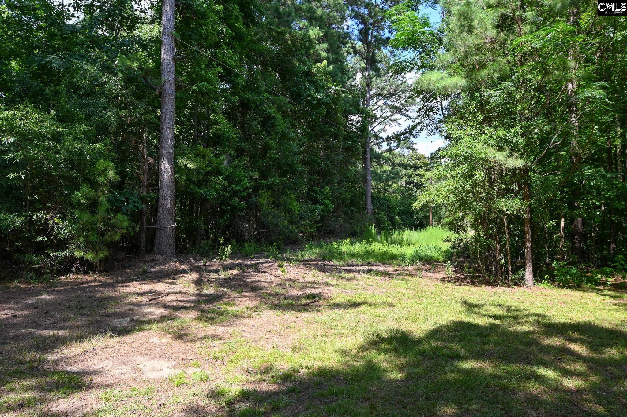 1219 NE Miles Road, Blythewood, South Carolina image 23