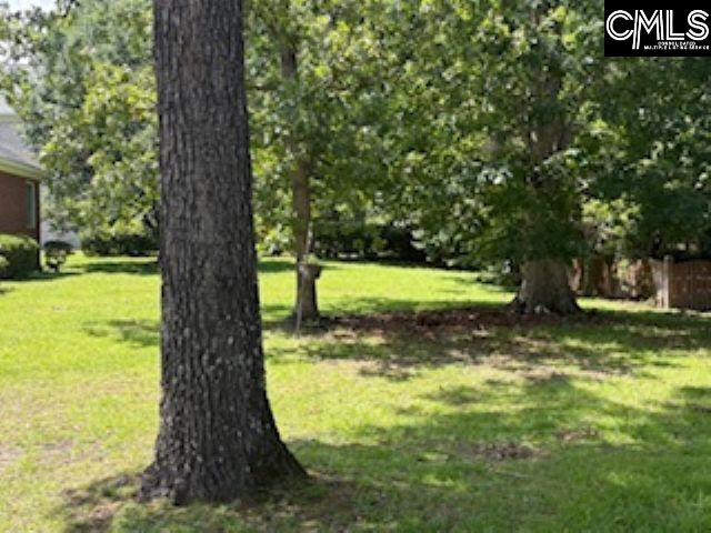 4 Sunset View Court Columbia, SC 29229