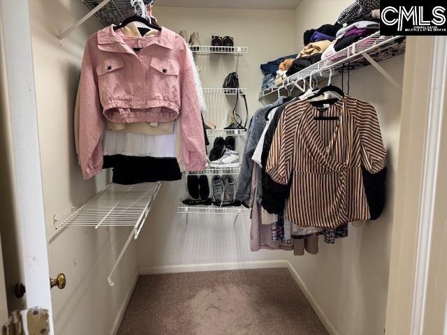 1600 Park Circle Columbia, SC 29201-4124