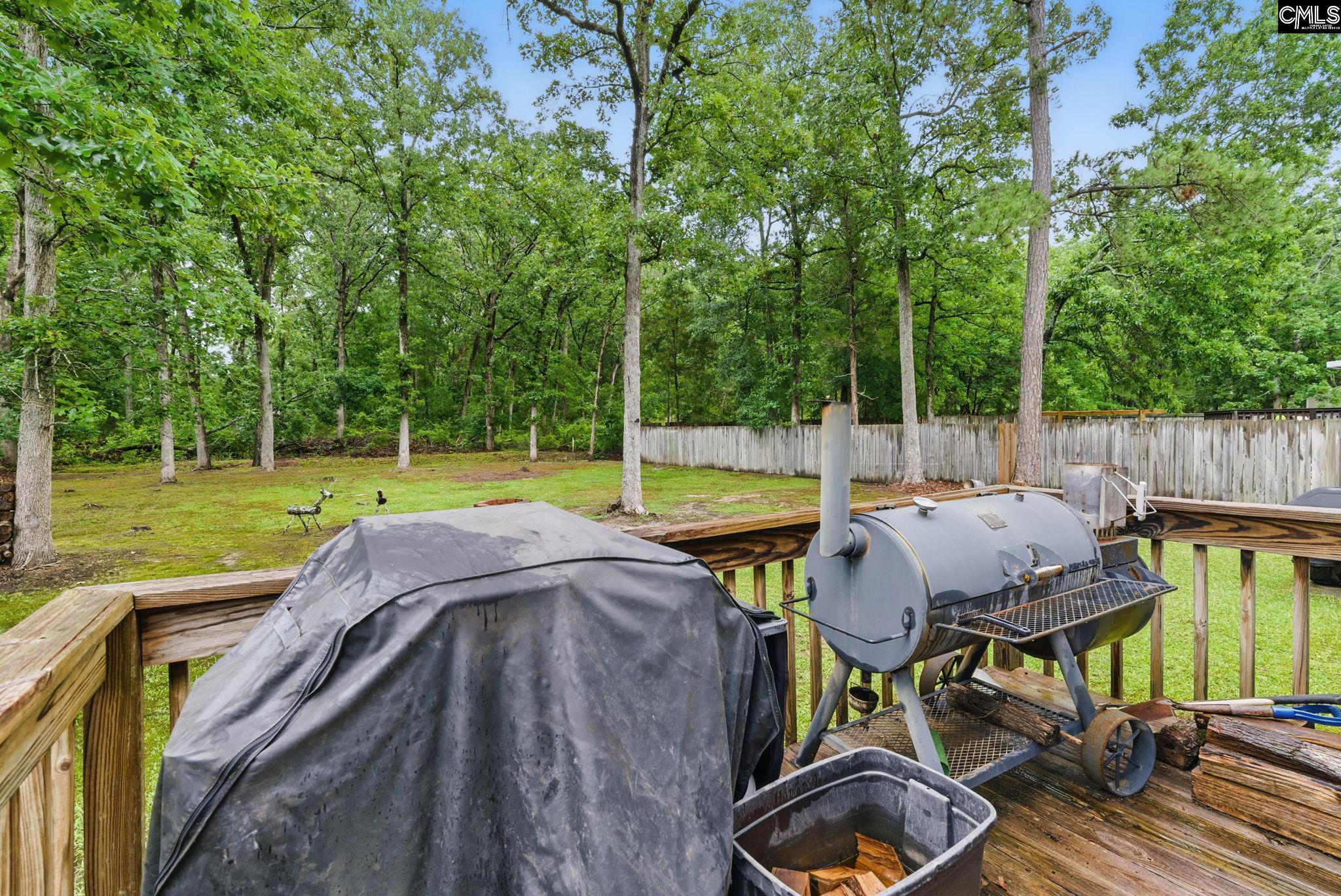 417 Northshore Court, Chapin, South Carolina image 13