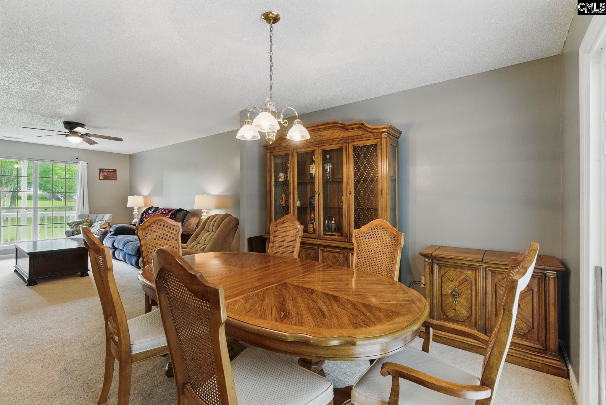 417 Northshore Court, Chapin, South Carolina image 23