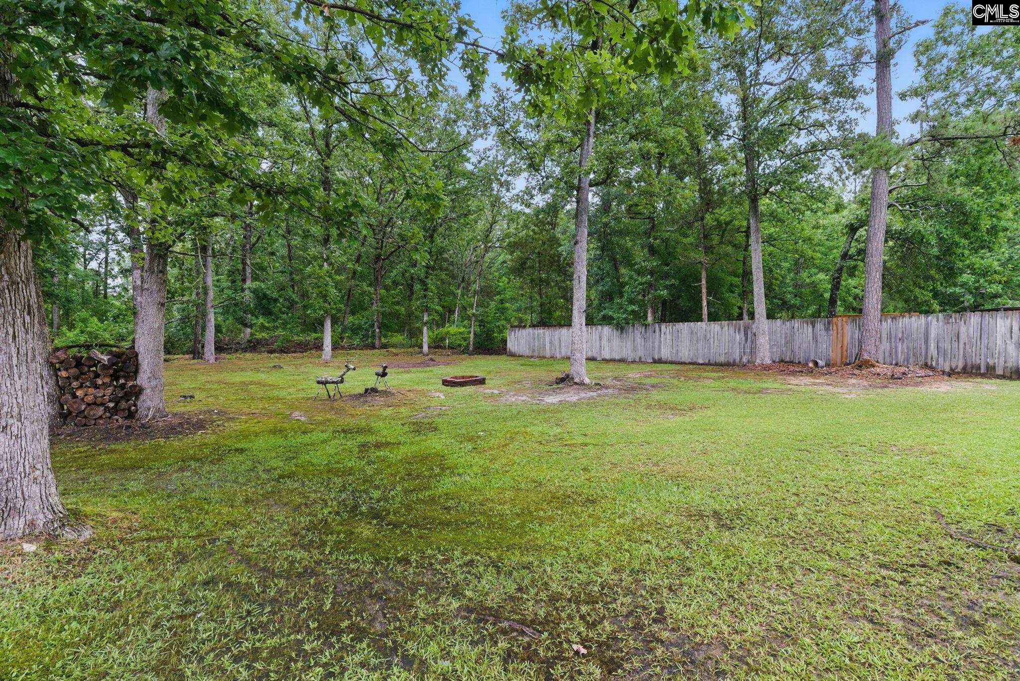 417 Northshore Court, Chapin, South Carolina image 9