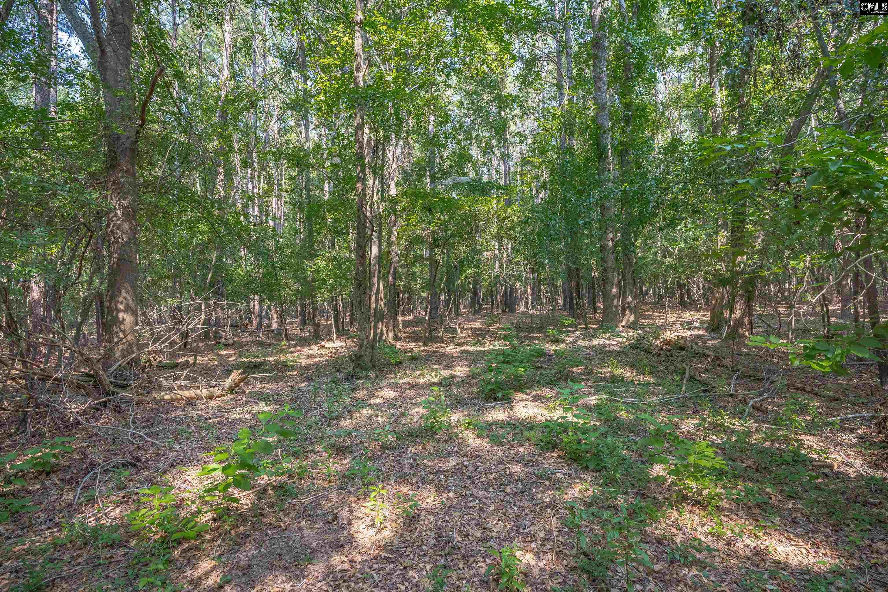 637 Belfast Road Newberry, SC 29108