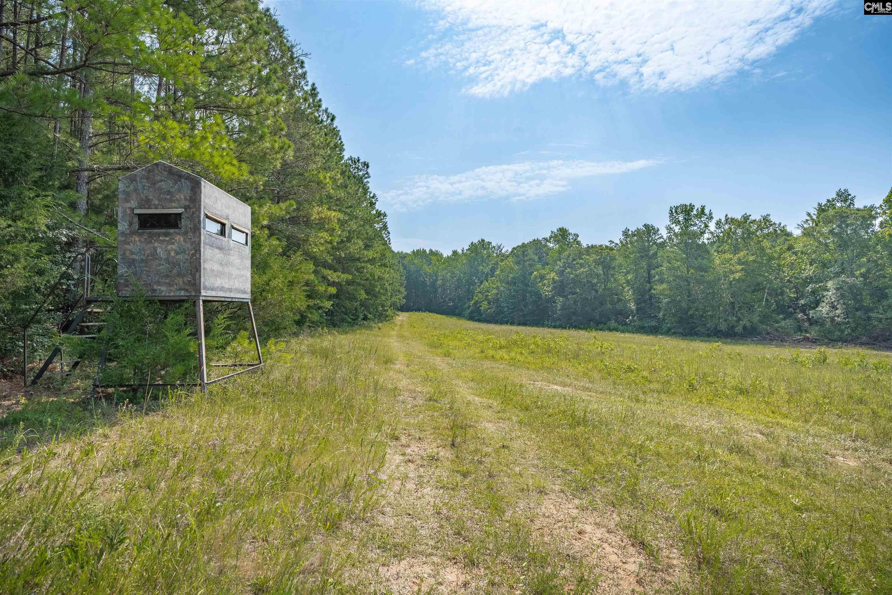 637 Belfast Road, Newberry, South Carolina image 7
