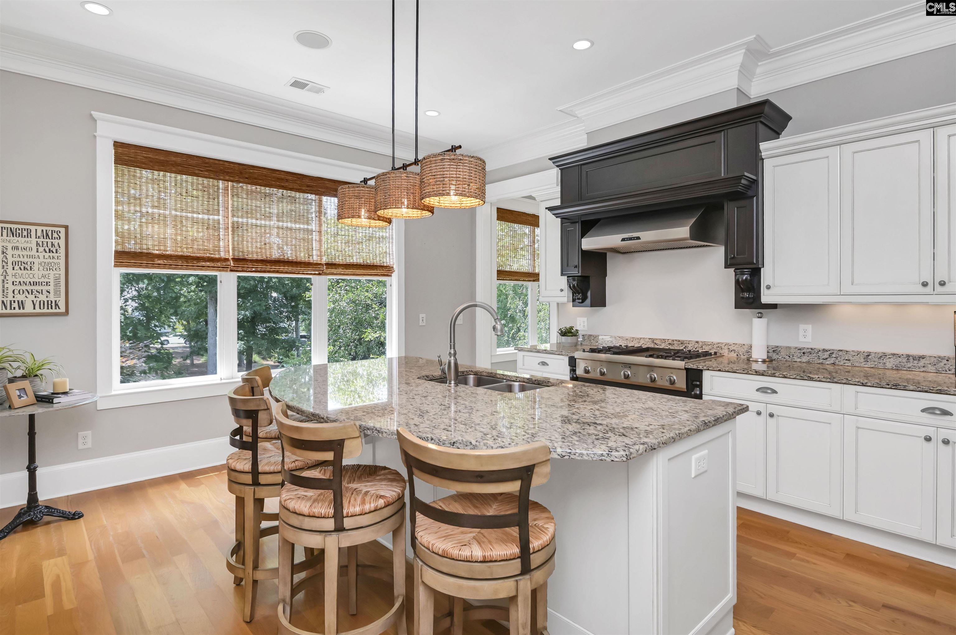 209 Lanham Springs Drive, Lexington, South Carolina image 16