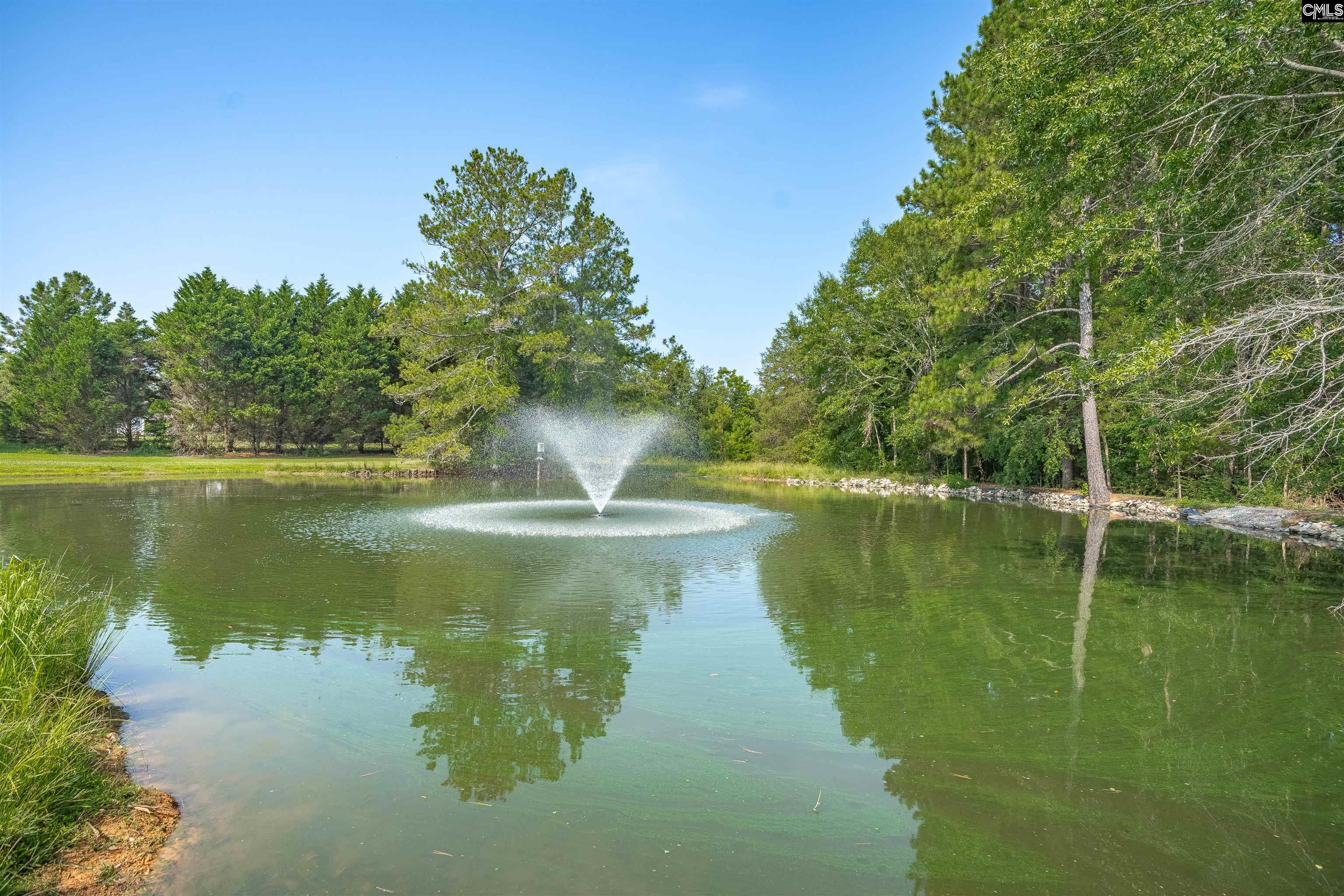 637 Belfast Road, Newberry, South Carolina image 5