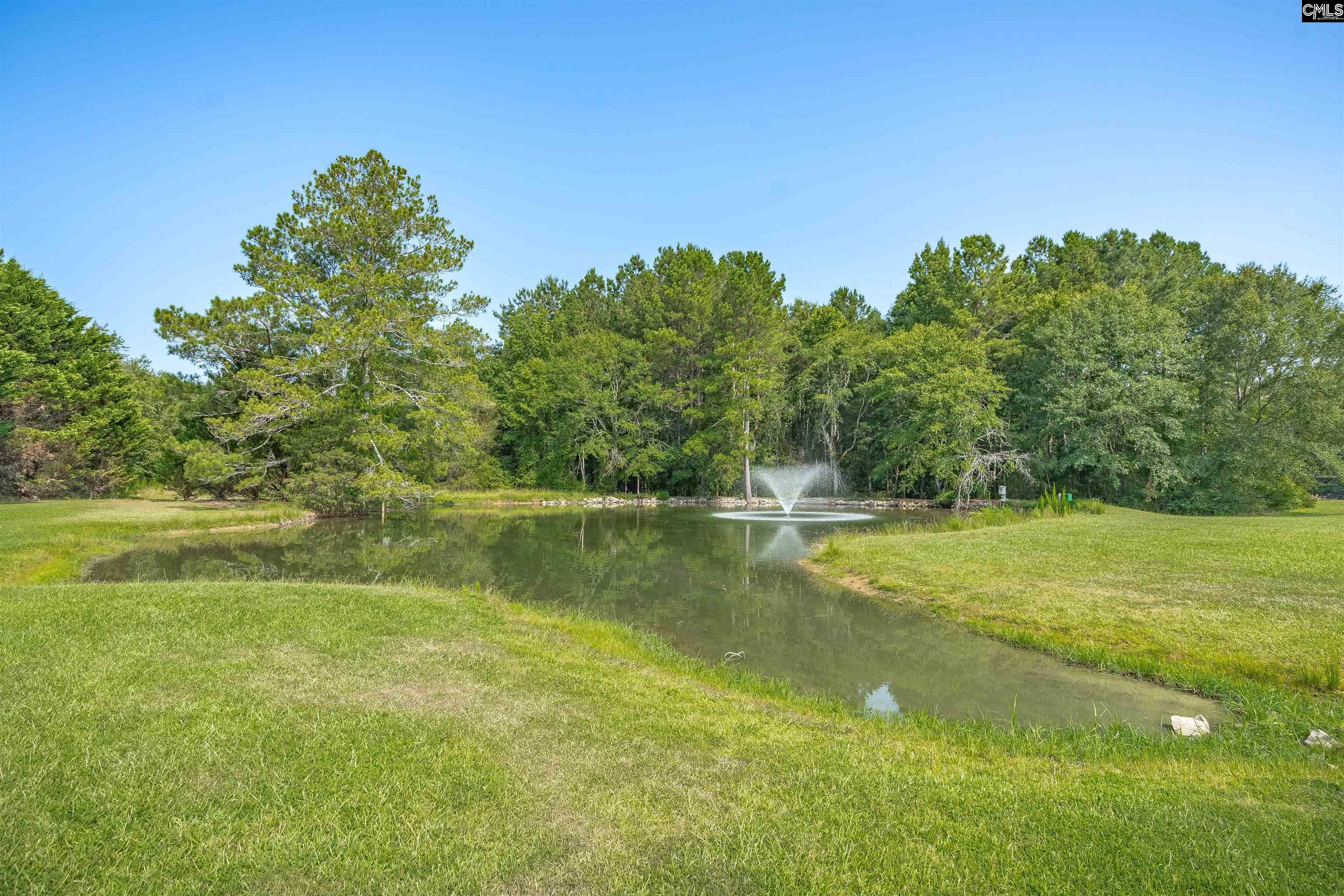 637 Belfast Road, Newberry, South Carolina image 47