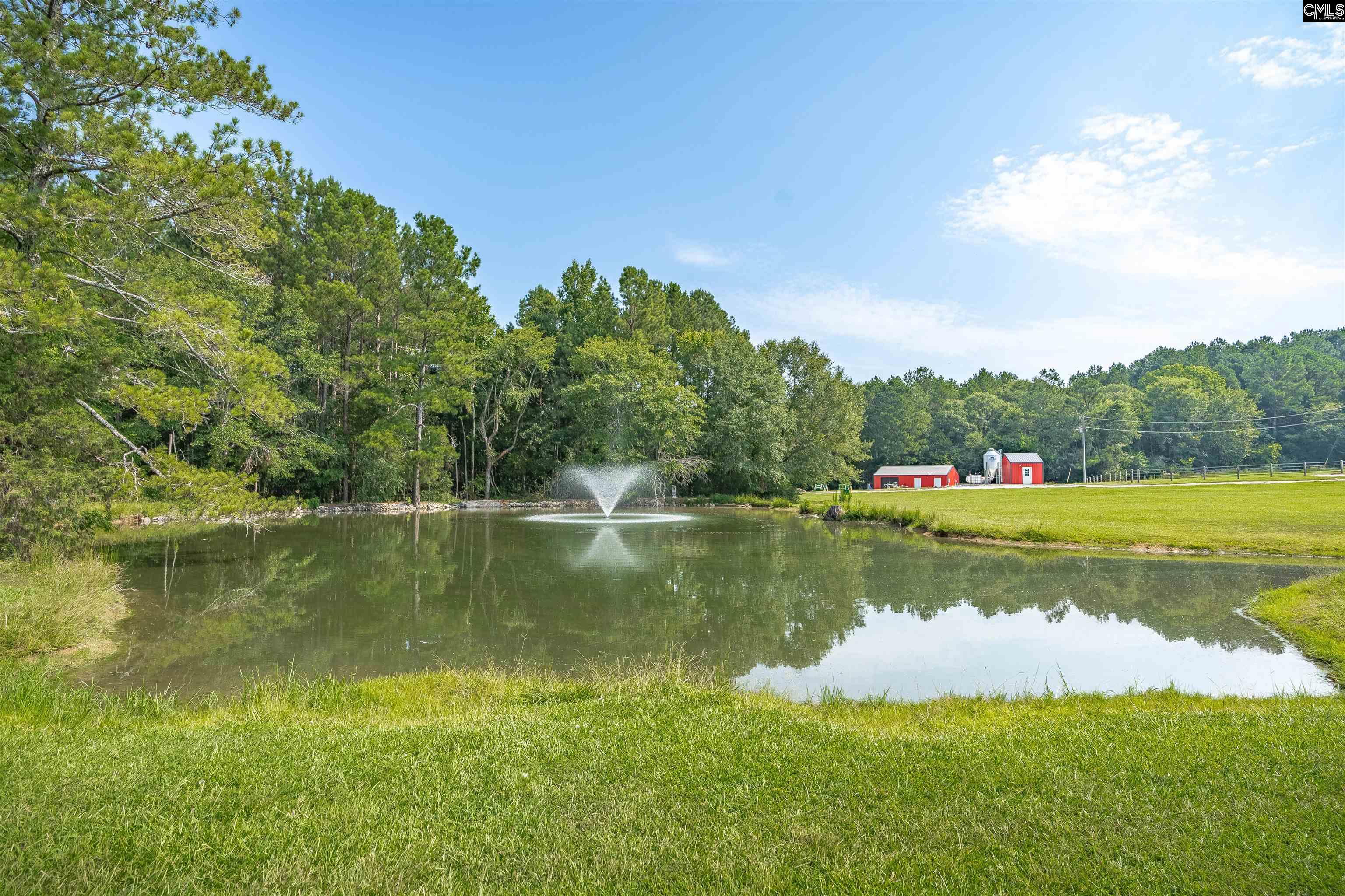637 Belfast Road, Newberry, South Carolina image 48