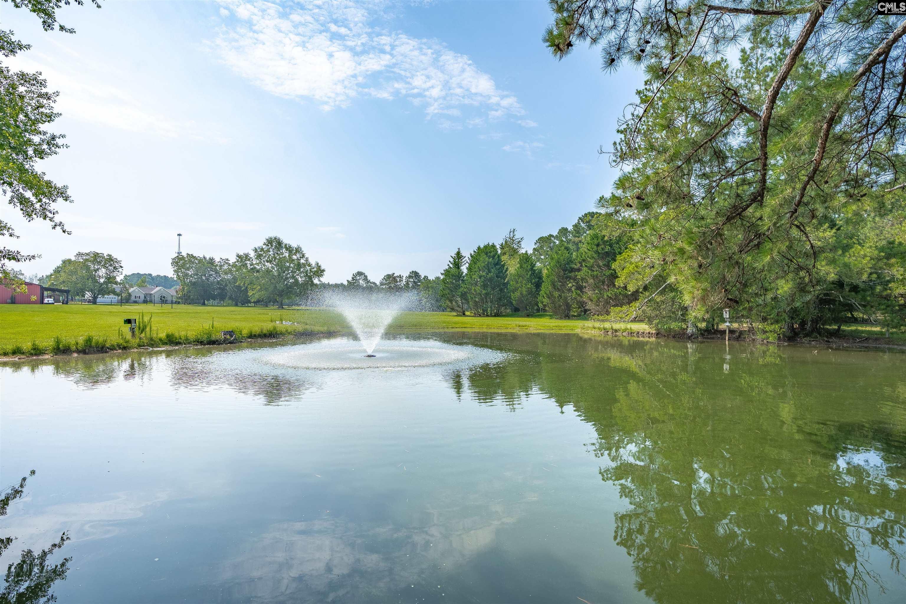 637 Belfast Road, Newberry, South Carolina image 50