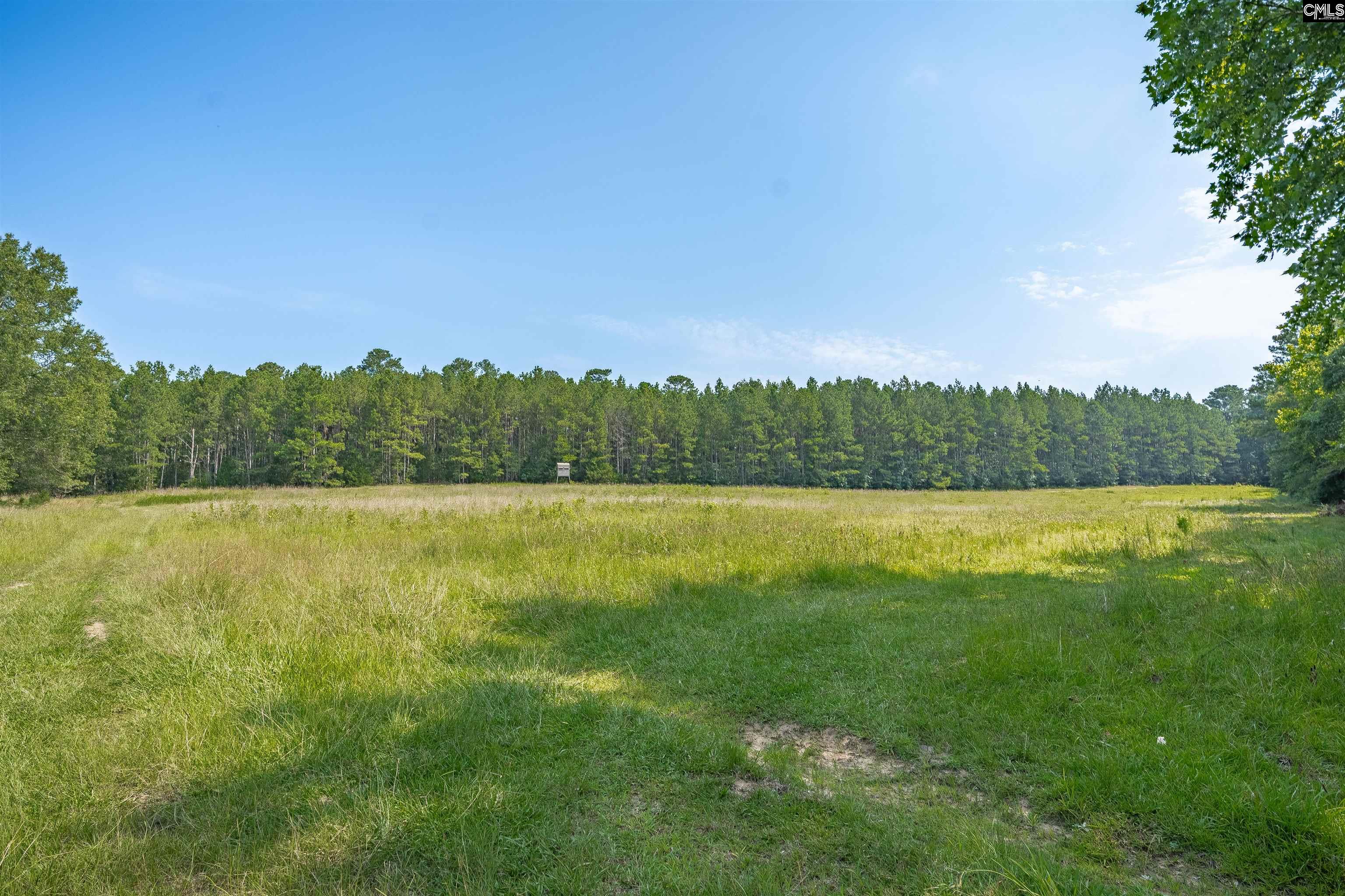 637 Belfast Road, Newberry, South Carolina image 6