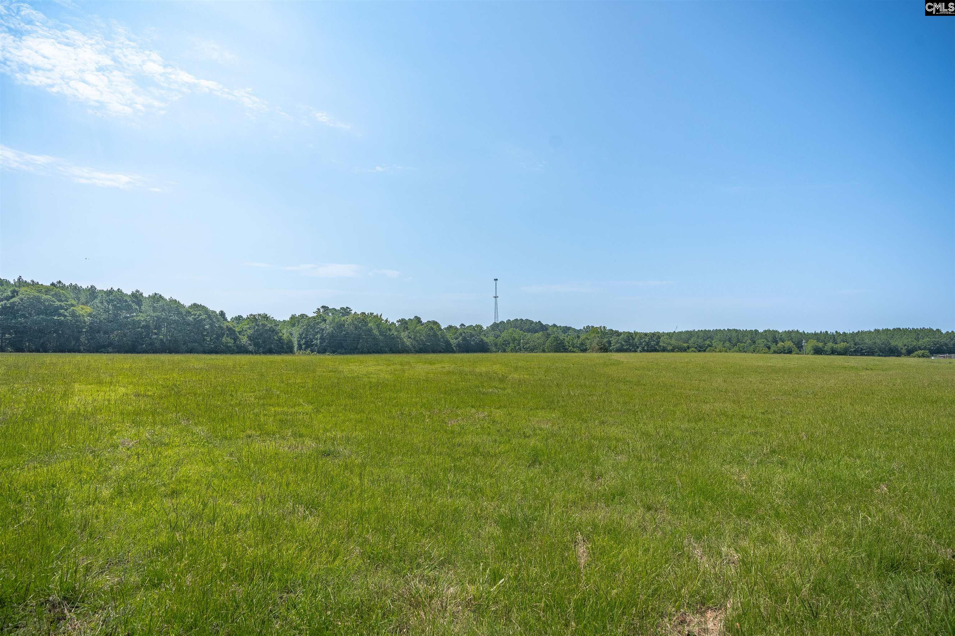 637 Belfast Road, Newberry, South Carolina image 7