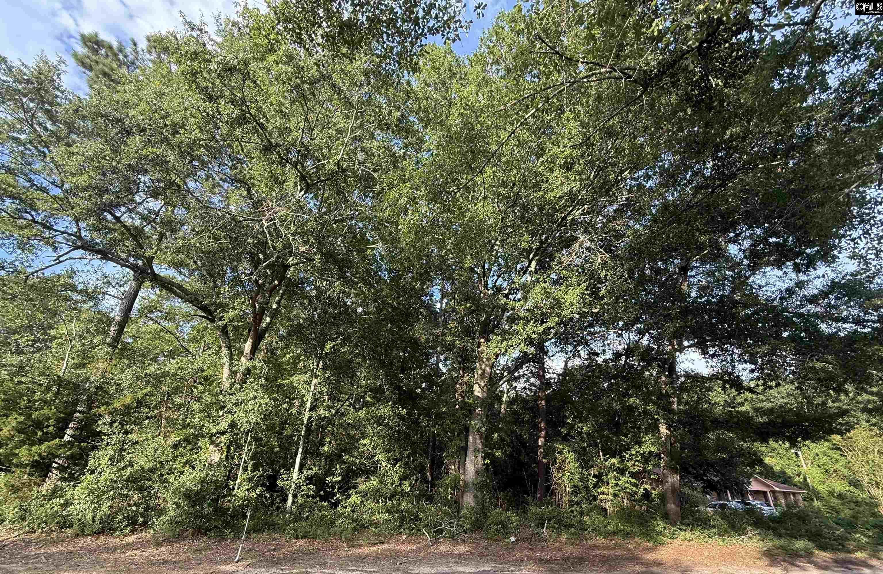 Hidden Valley Drive Orangeburg, SC 29115