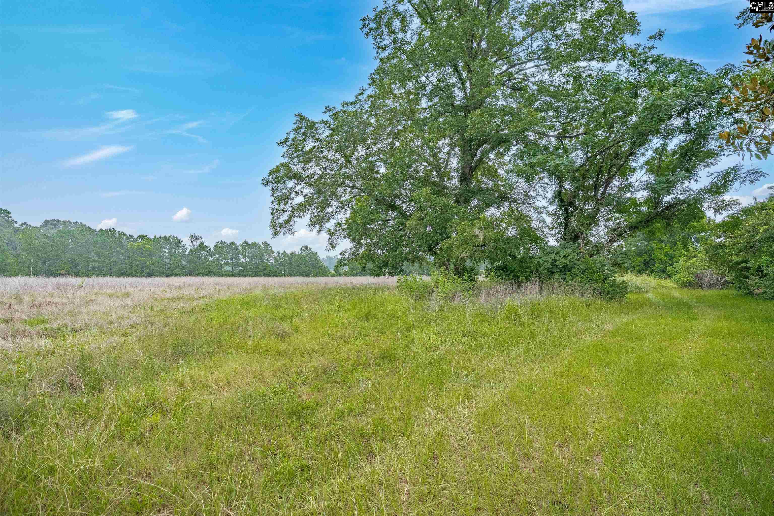 242 Hammond Road, Beech Island, South Carolina image 11