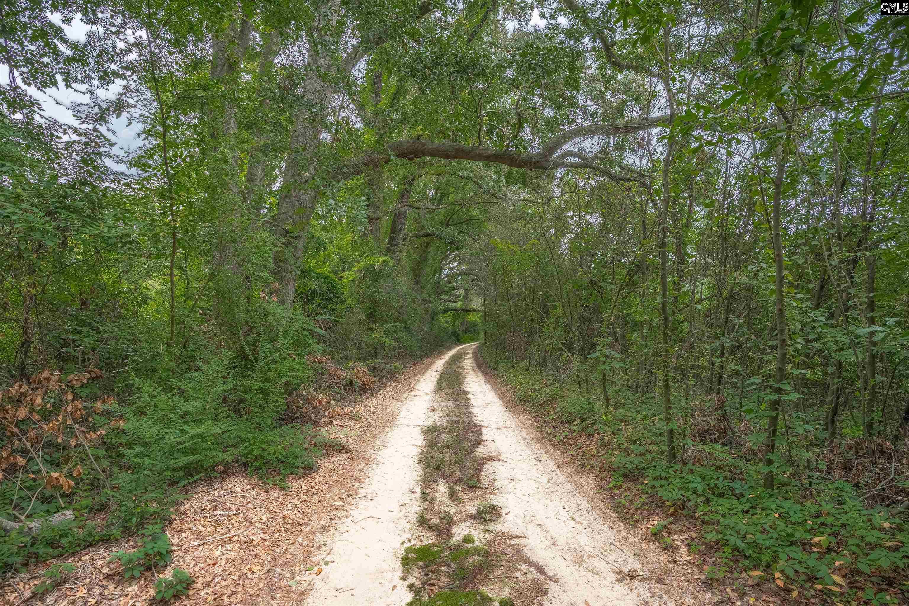 242 Hammond Road, Beech Island, South Carolina image 47