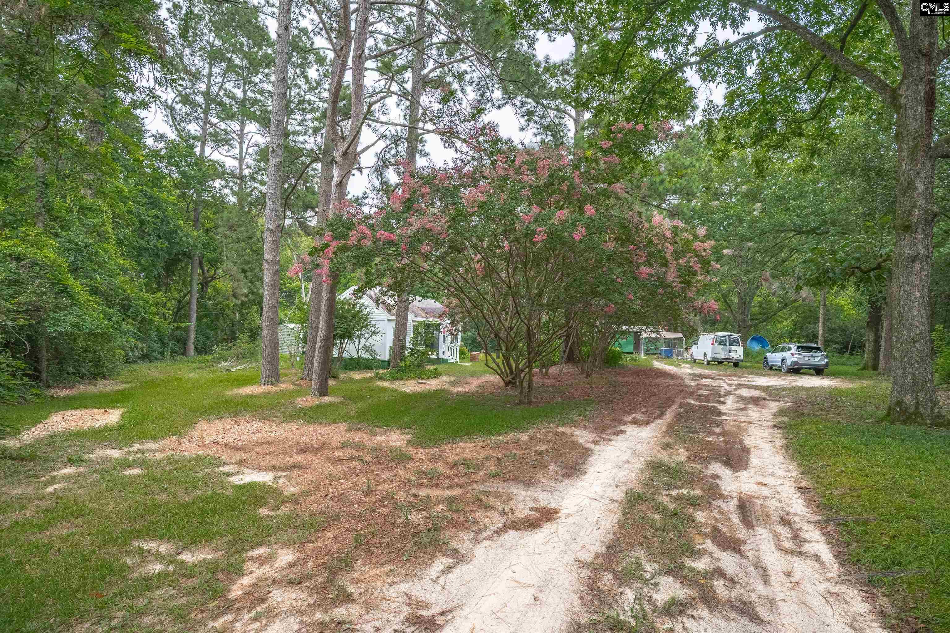 242 Hammond Road, Beech Island, South Carolina image 49