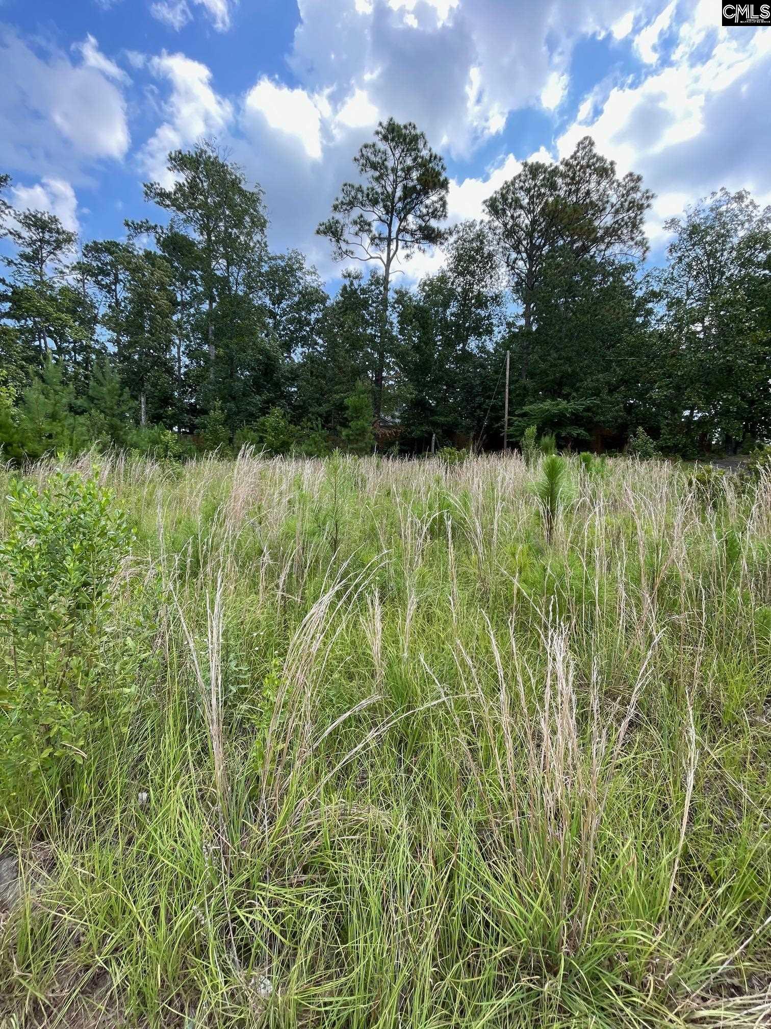 769 Club Cottage Drive UNIT #48 Blythewood, SC 29016