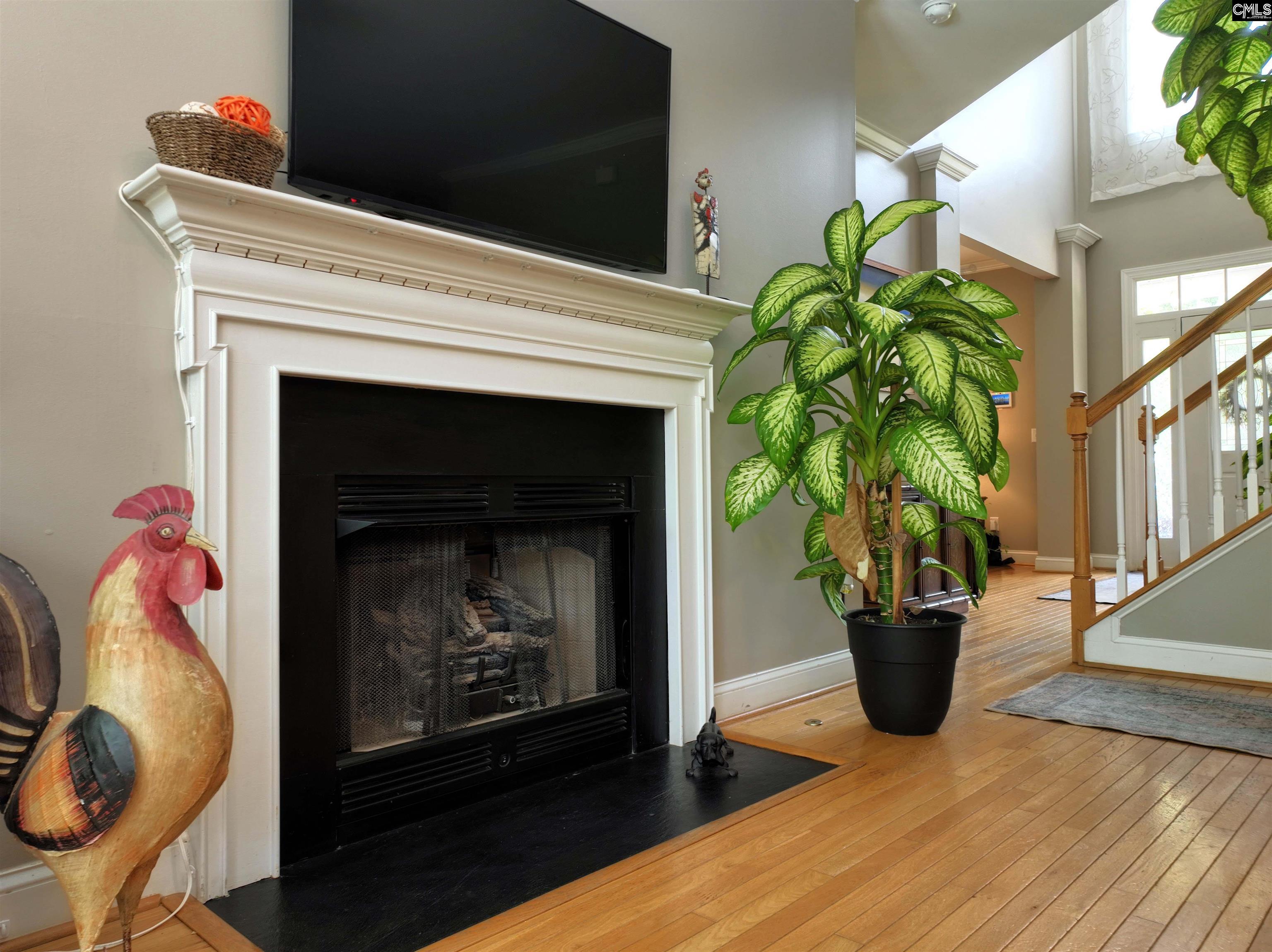 4 Bamboo Grove Court, Chapin, South Carolina image 16