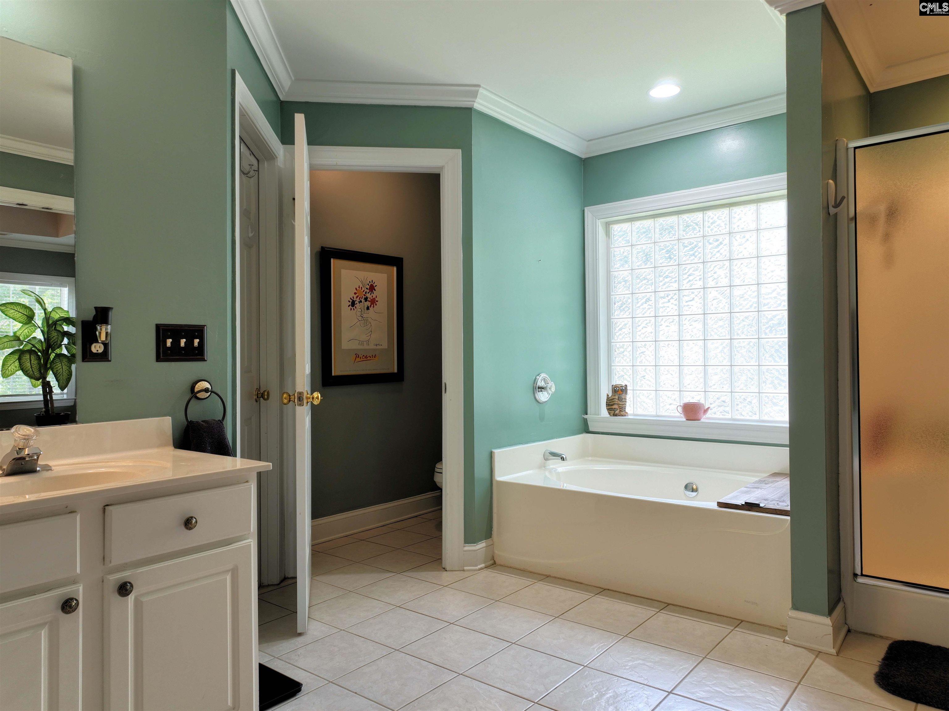 4 Bamboo Grove Court, Chapin, South Carolina image 30