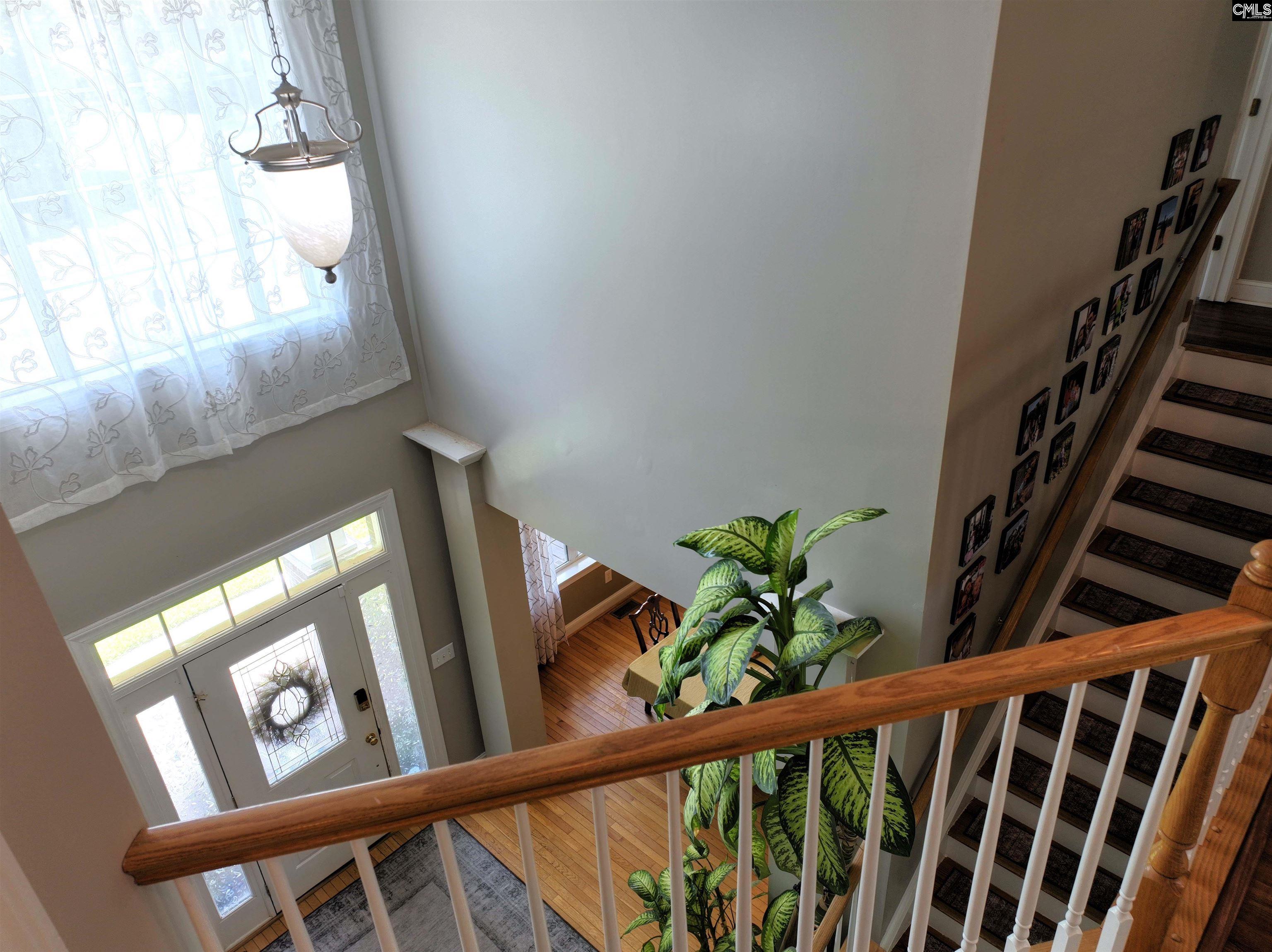 4 Bamboo Grove Court, Chapin, South Carolina image 43