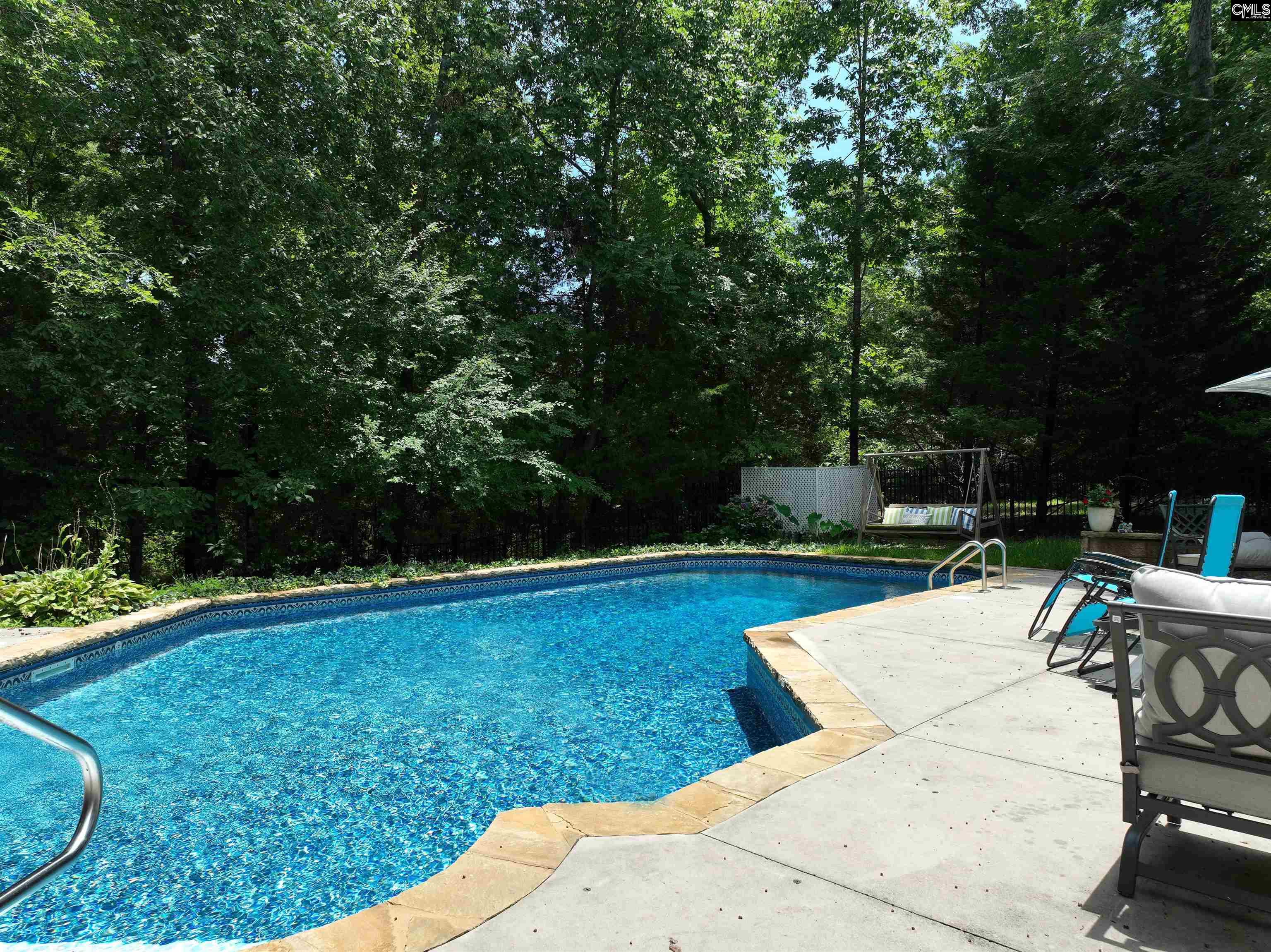 4 Bamboo Grove Court, Chapin, South Carolina image 6