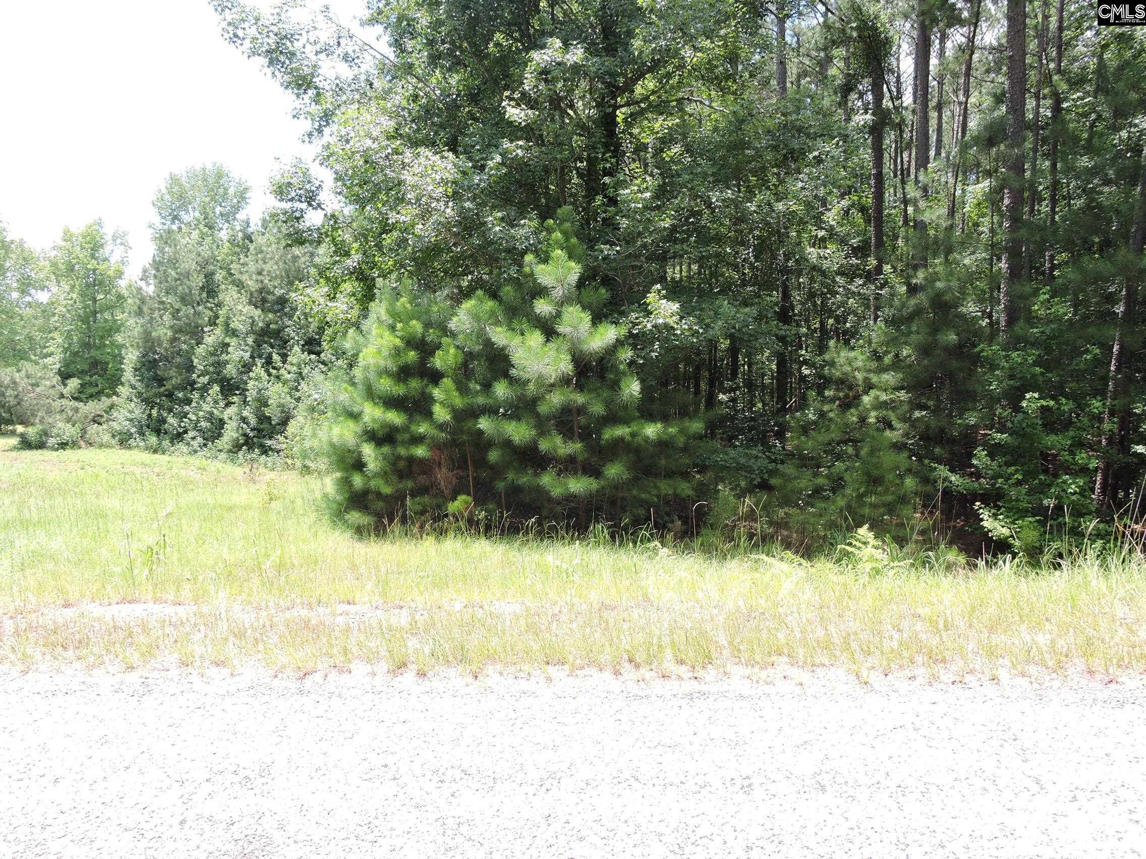 TBD Hawley Creek Prosperity, SC 29127