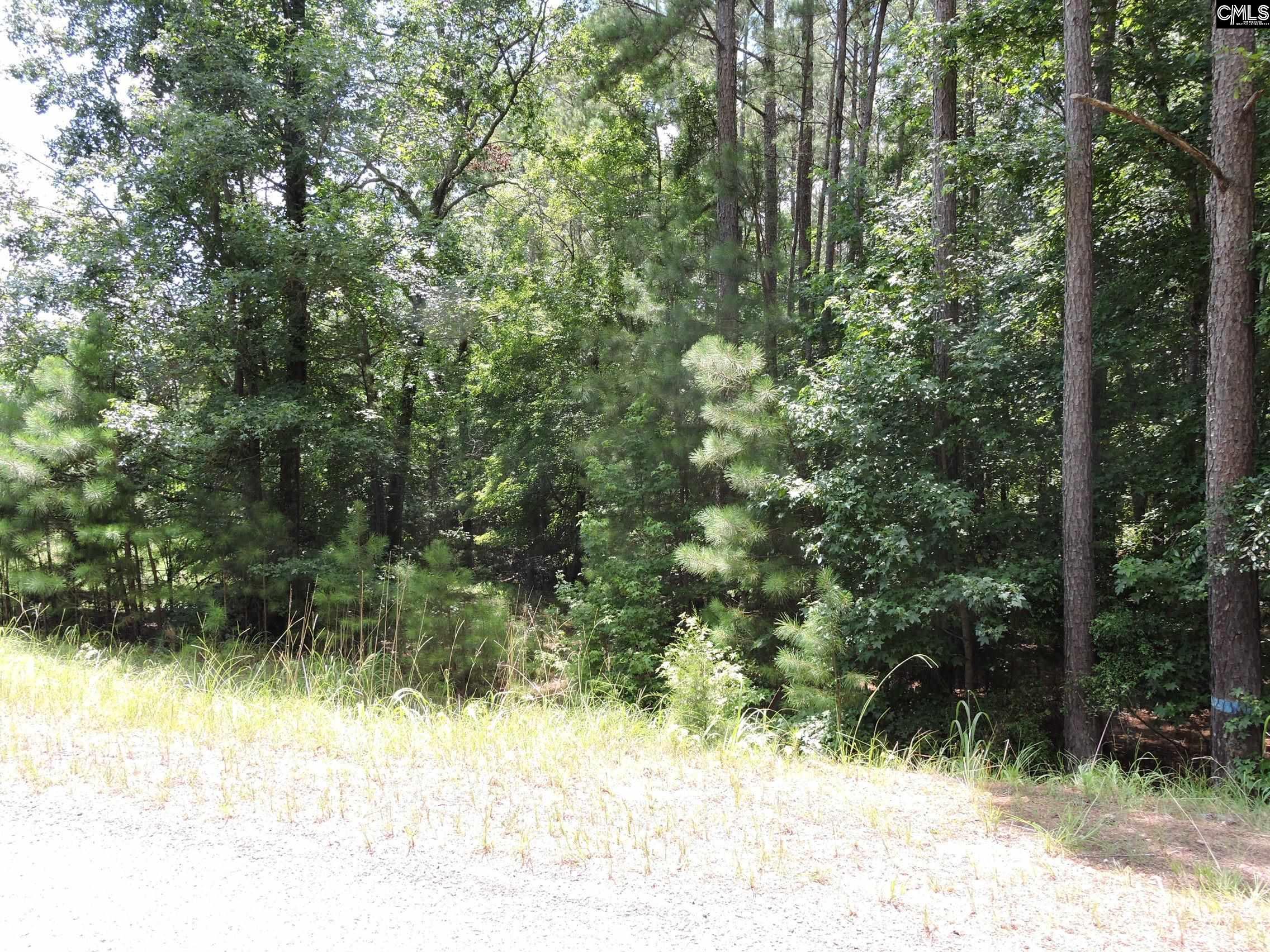 TBD Hawley Creek Prosperity, SC 29127