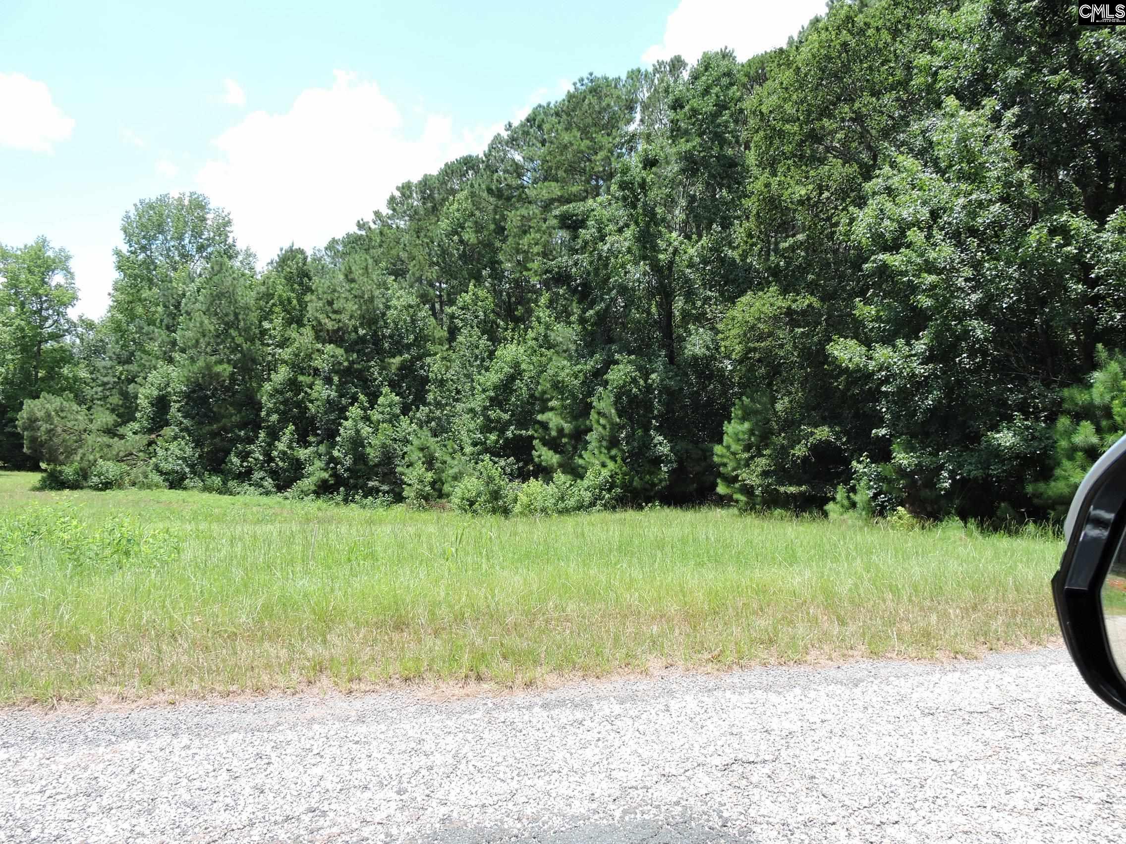 TBD Hawley Creek Prosperity, SC 29127