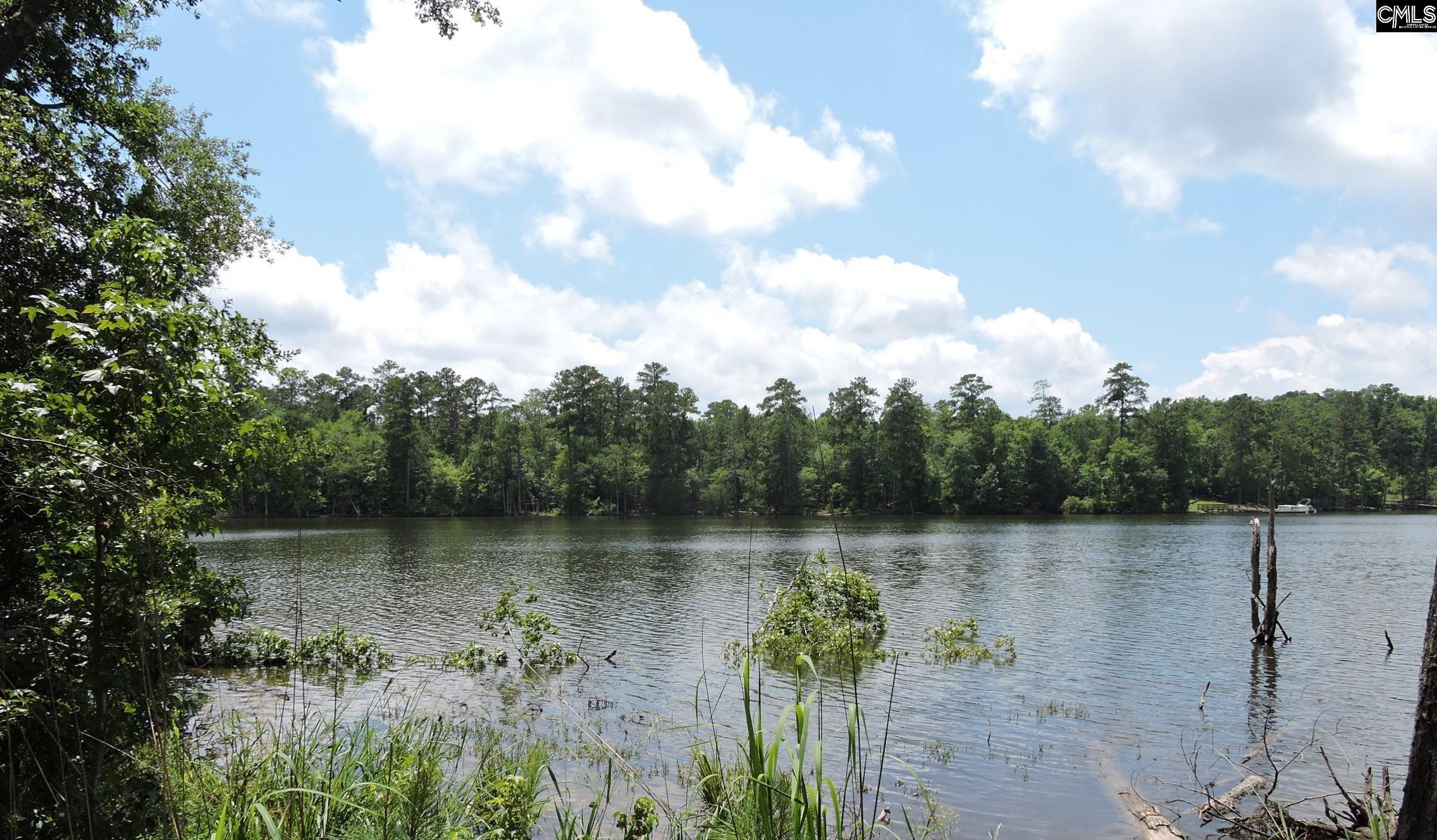 TBD Hawley Creek Prosperity, SC 29127