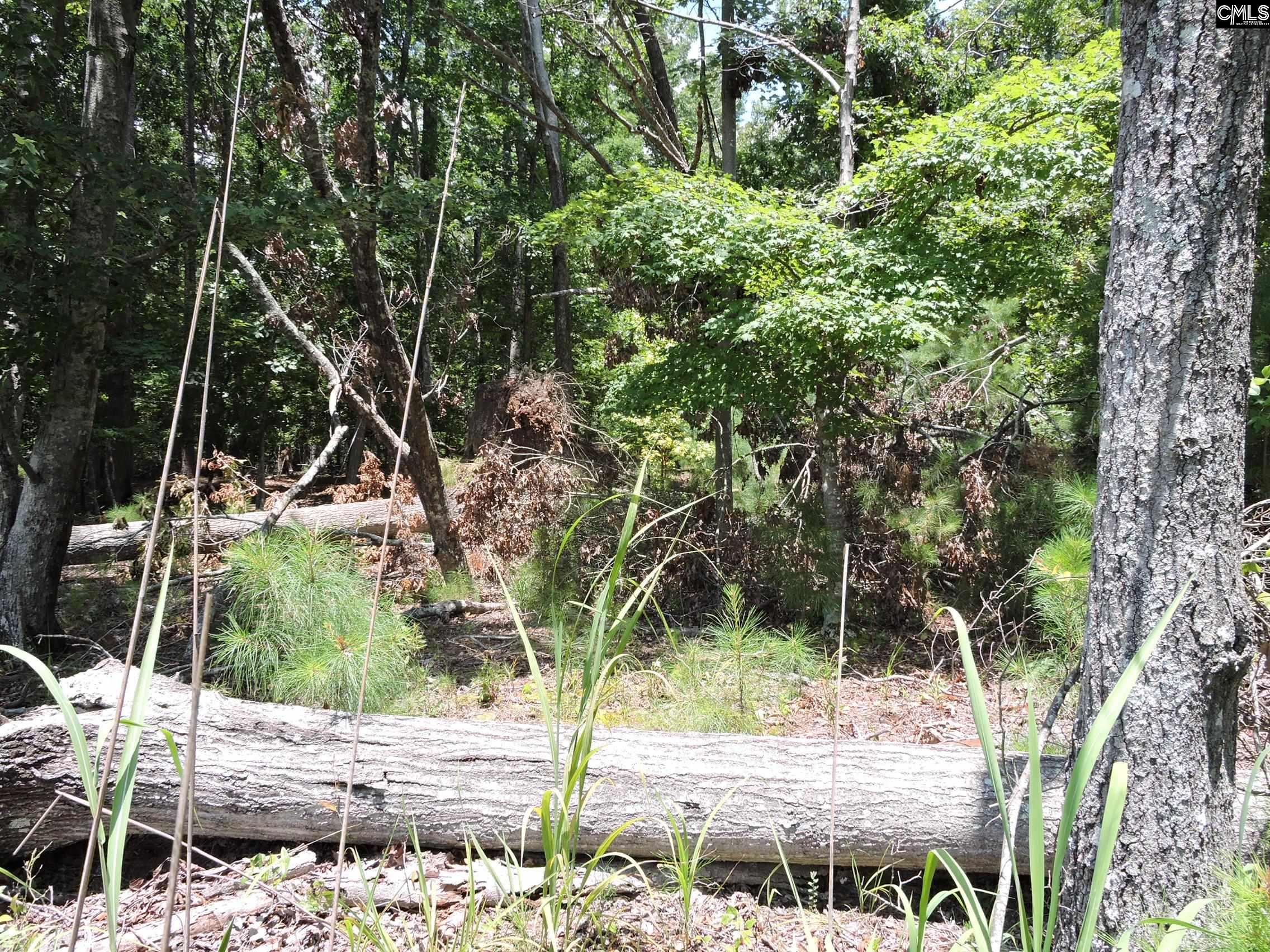 TBD Hawley Creek Prosperity, SC 29127